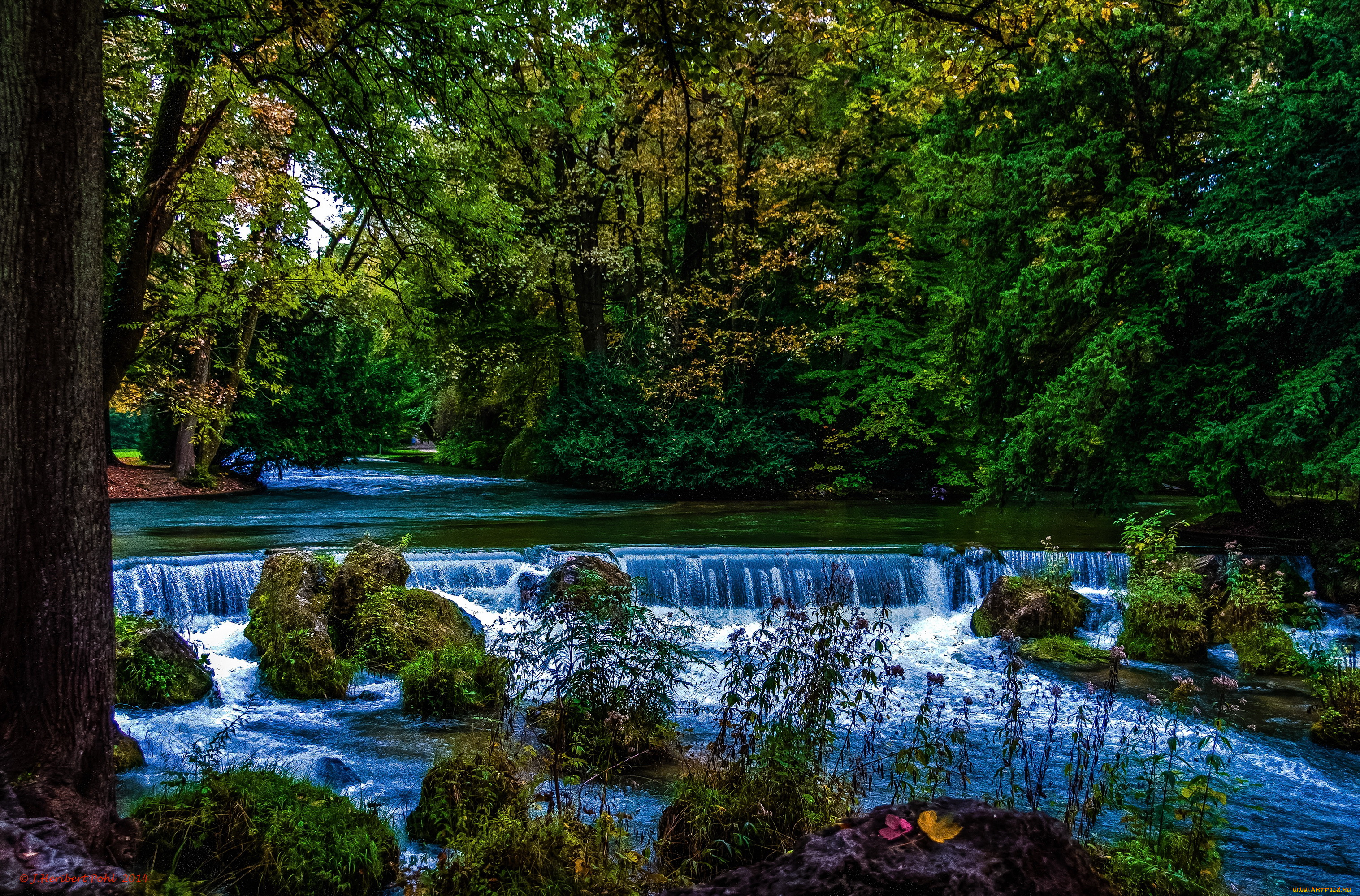 английский, сад, в, мюнхене, природа, реки, озера, кусты, деревья, парк, водопад, мюнхен, сад