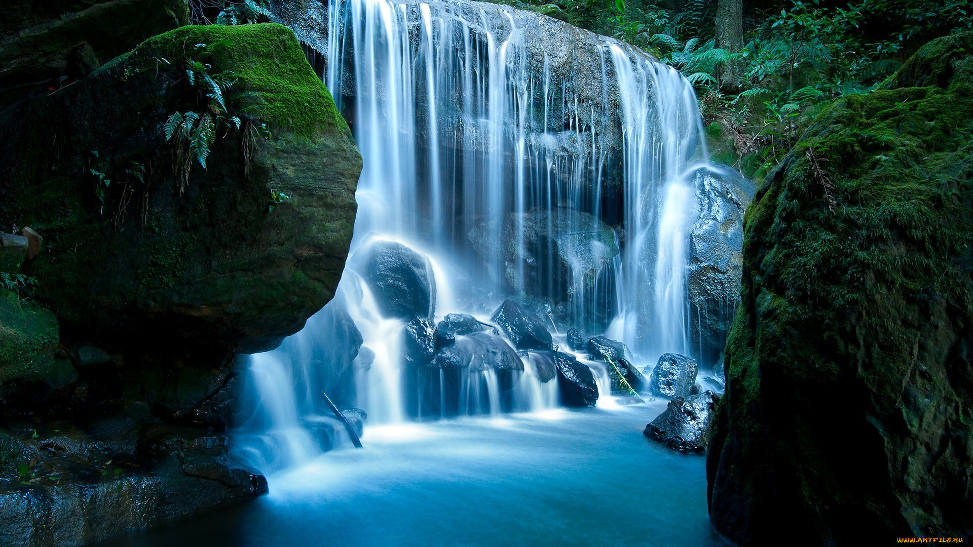 природа, водопады, лес, водопад, мох, камни