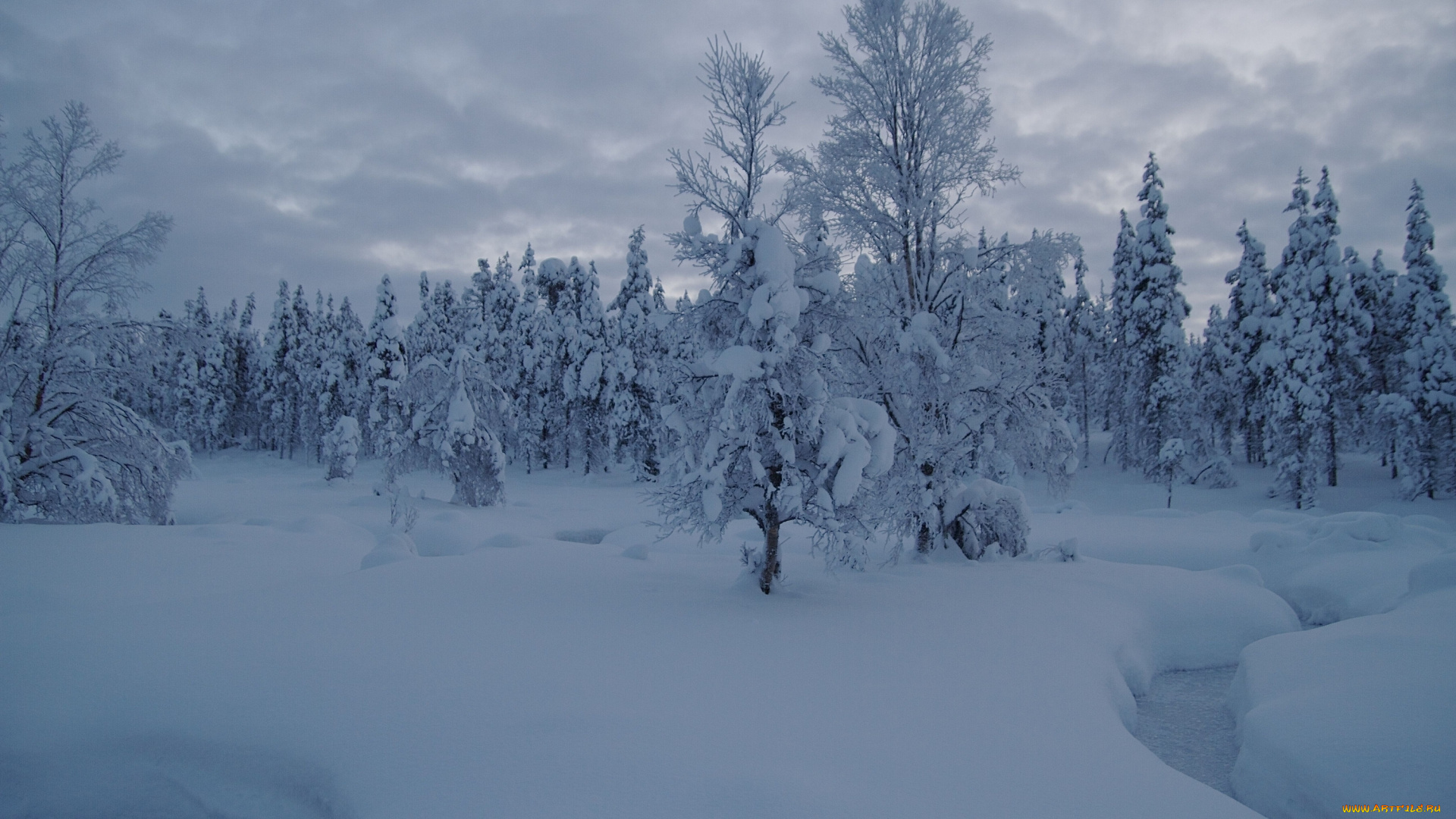 природа, зима, снег, деревья, лес, ручей, сугробы, финляндия, лапландия