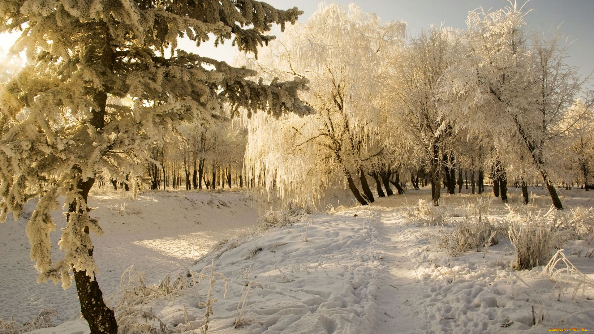 природа, зима, снег, деревья, тропа, колея