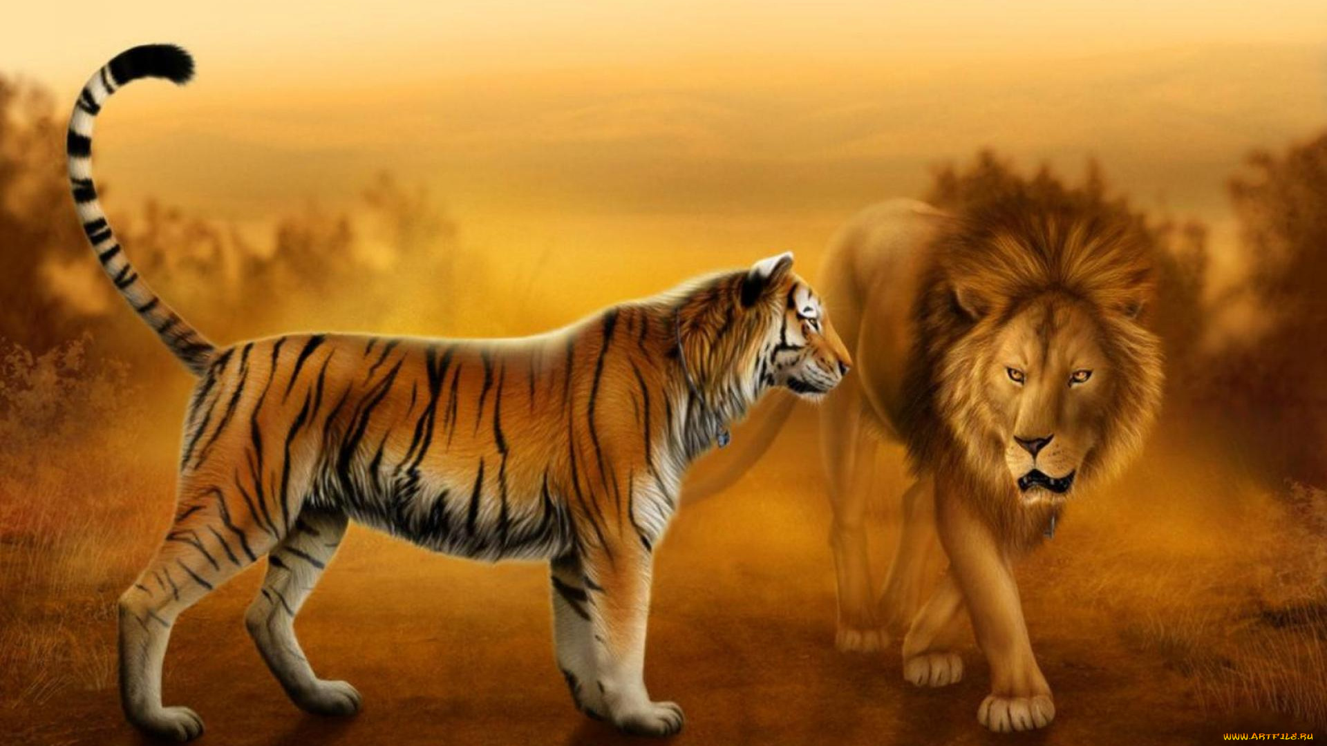 рисованное, животные, закат, встреча, грива, лев, хвост, тигр