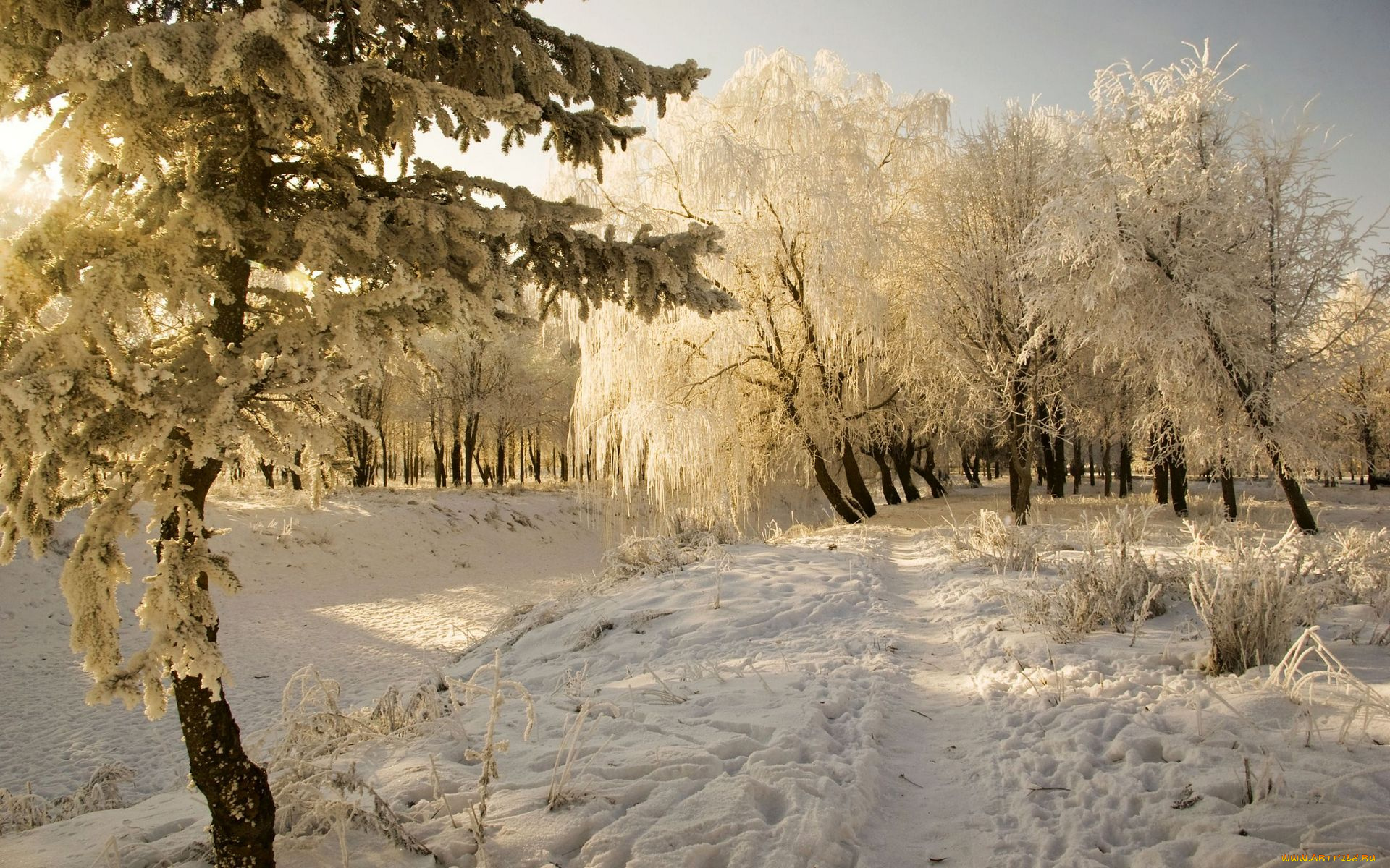 природа, зима, снег, деревья, тропа, колея