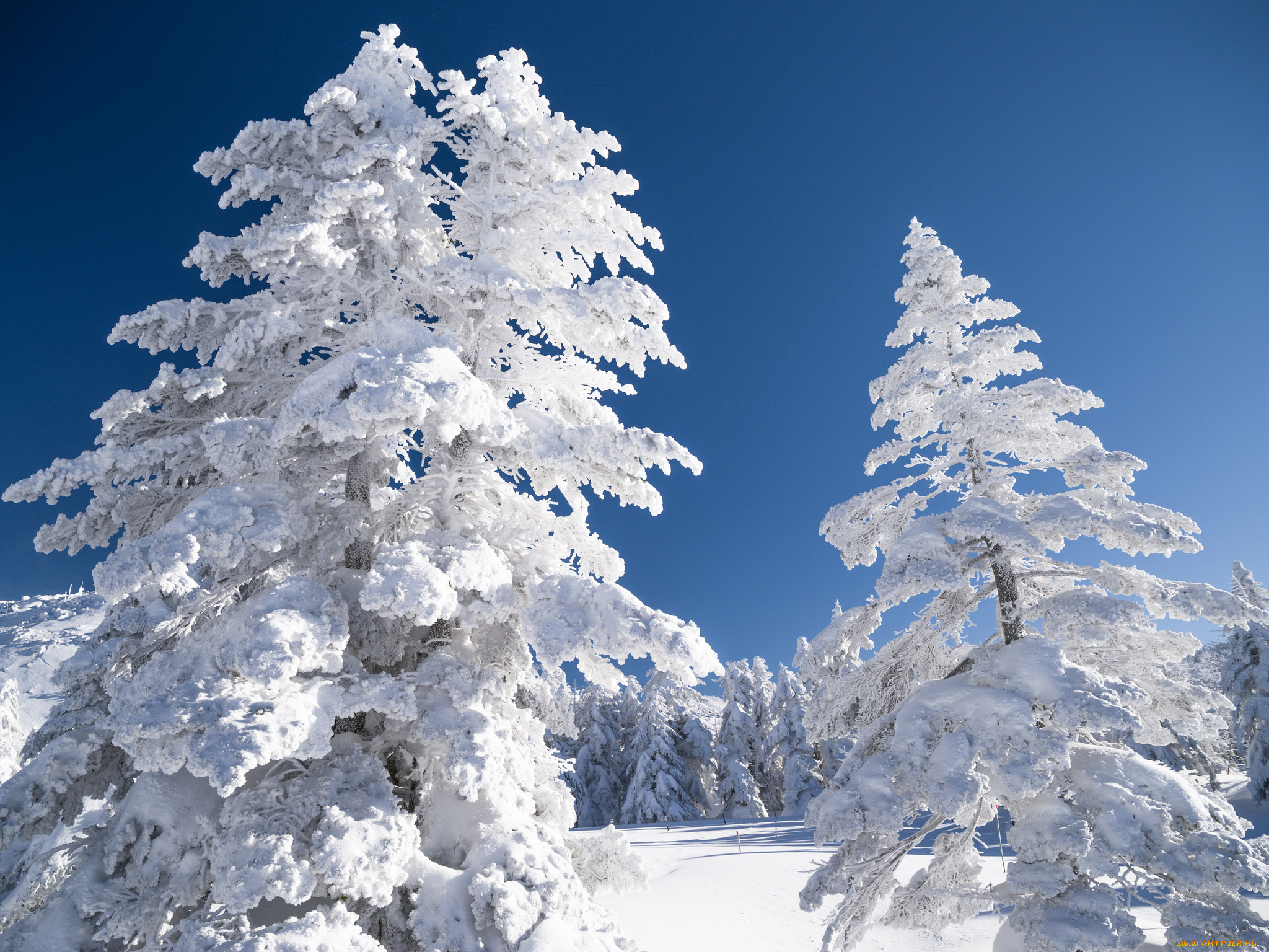 природа, зима, пейзаж, небо, снег, деревья
