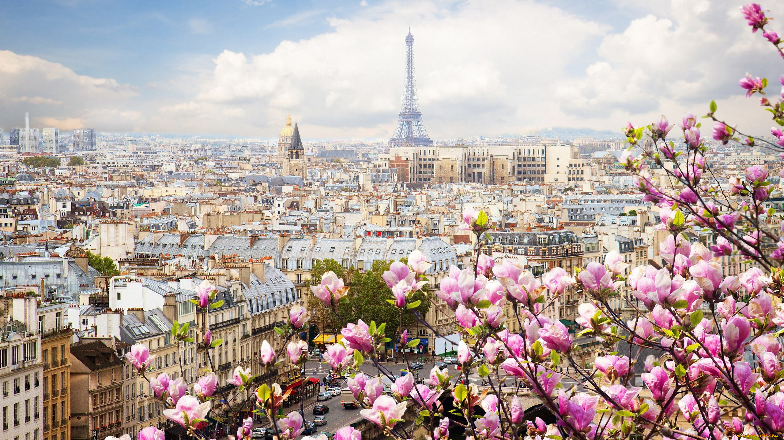 города, париж, , франция, весна, панорама, башня, магнолия