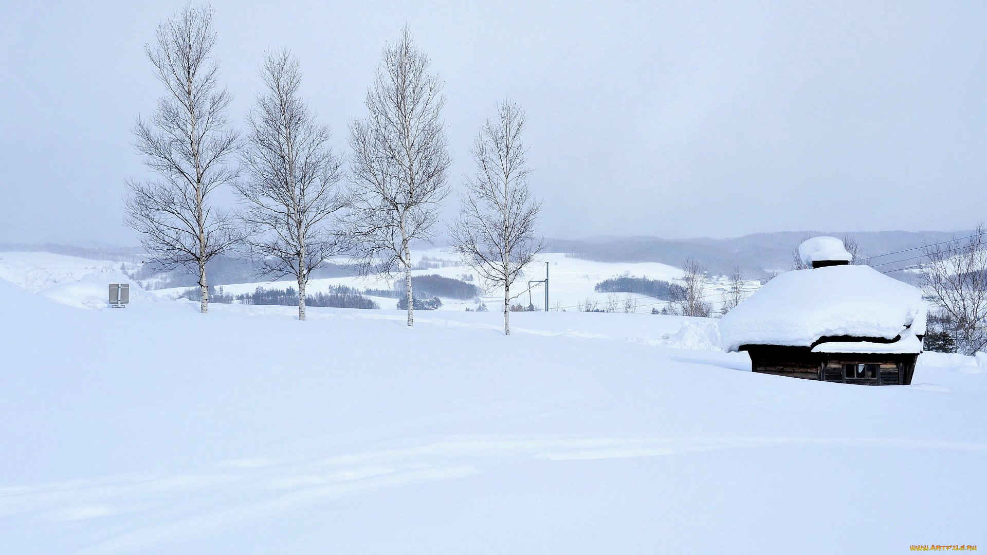 природа, зима, деревья, дом, снег