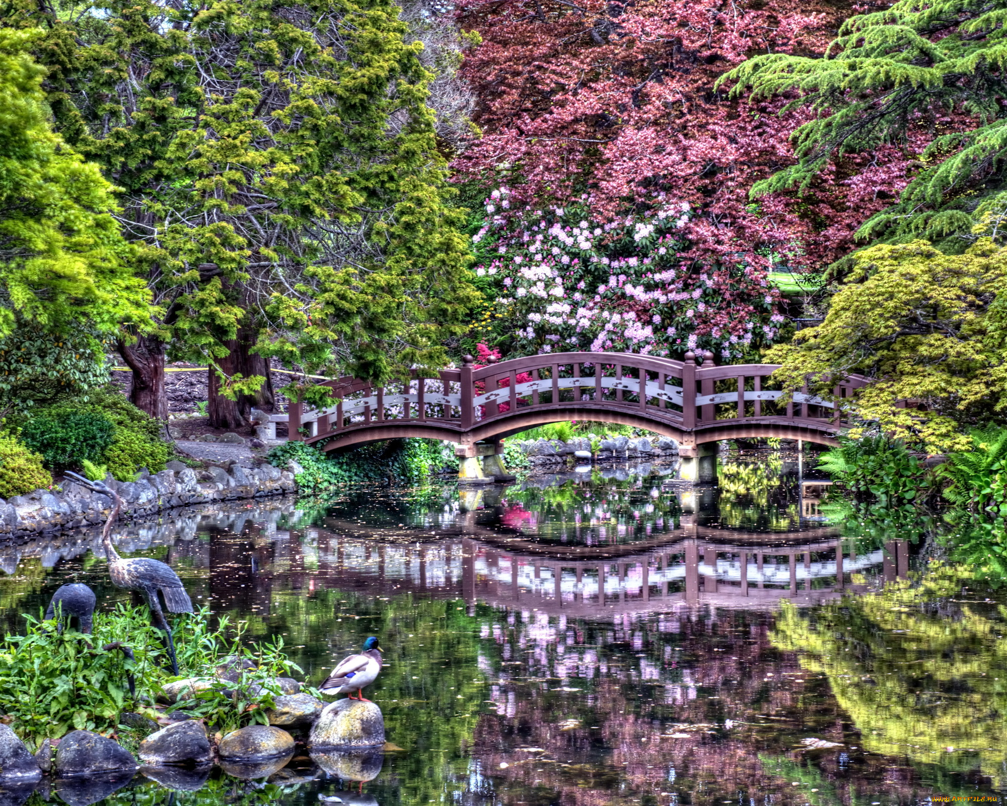 Japanese Garden, Royal Roads University, British Columbia скачать