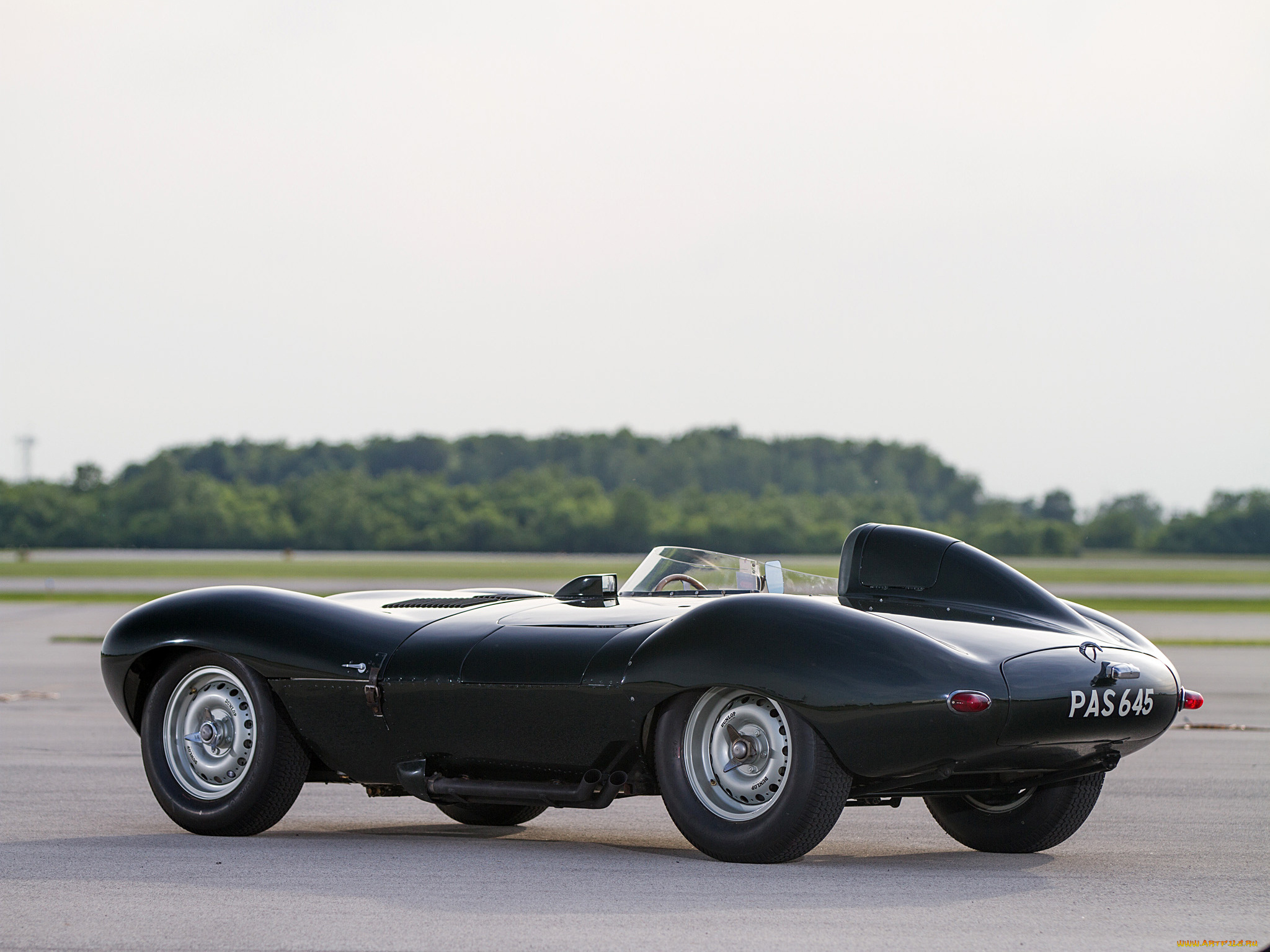 1955, jaguar, d-type, автомобили, jaguar