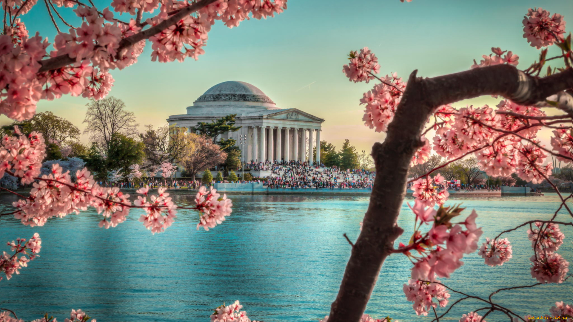 города, вашингтон, , сша, цветы, washington, dc, tidalbasin, sunset, весна, здание, monument, jeffersonmemorial, вишня, tree, landscape, water