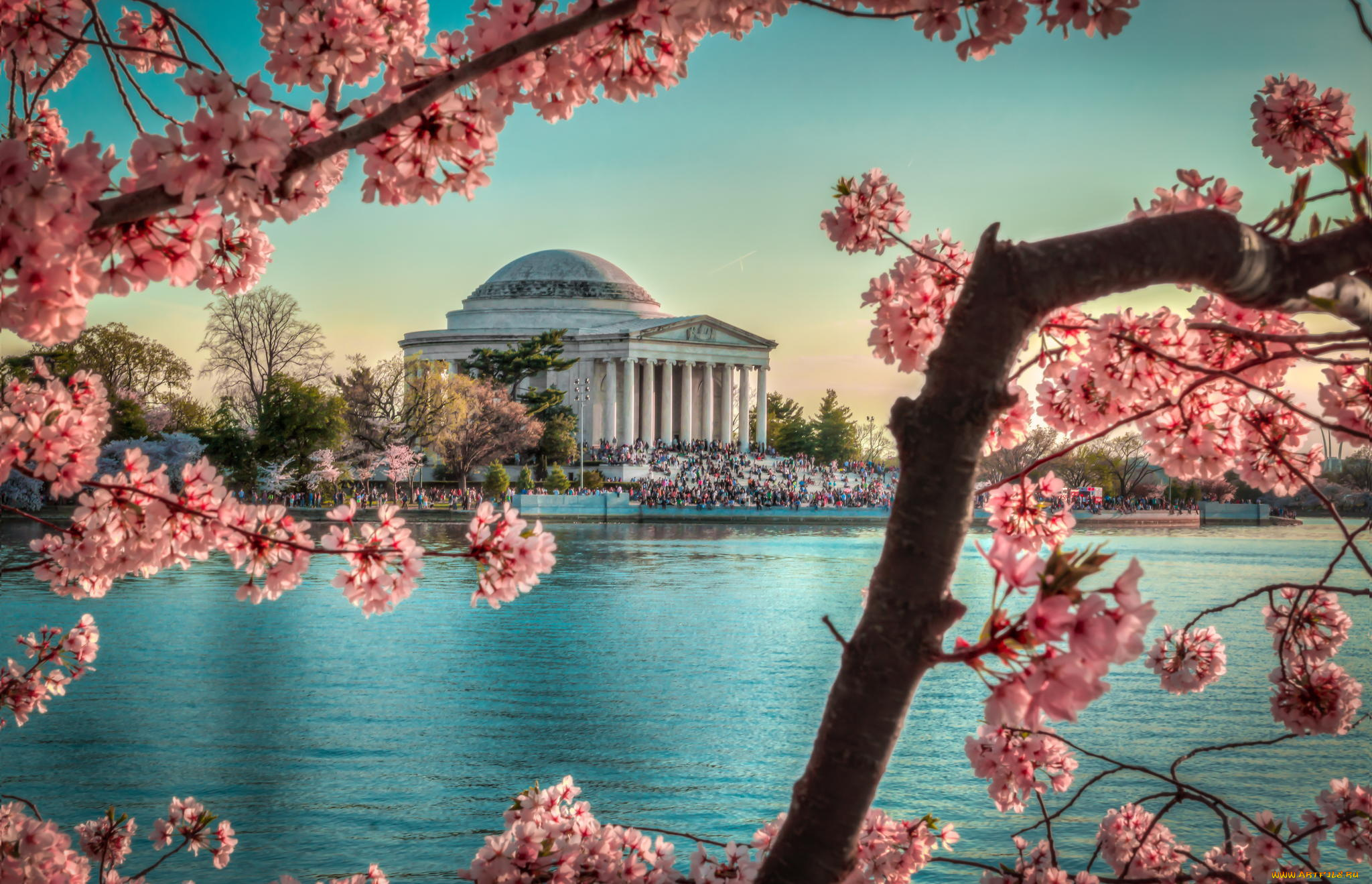 города, вашингтон, , сша, цветы, washington, dc, tidalbasin, sunset, весна, здание, monument, jeffersonmemorial, вишня, tree, landscape, water