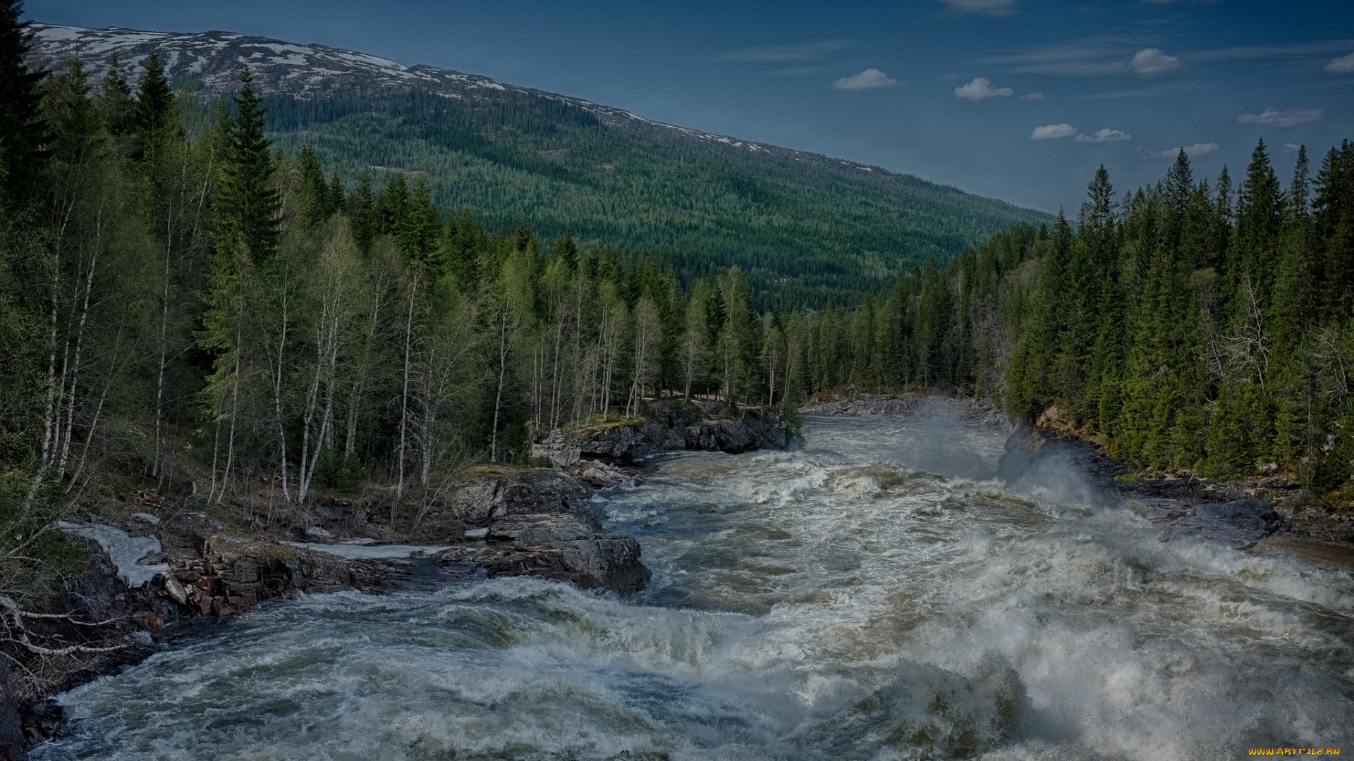 природа, реки, озера, лес, река