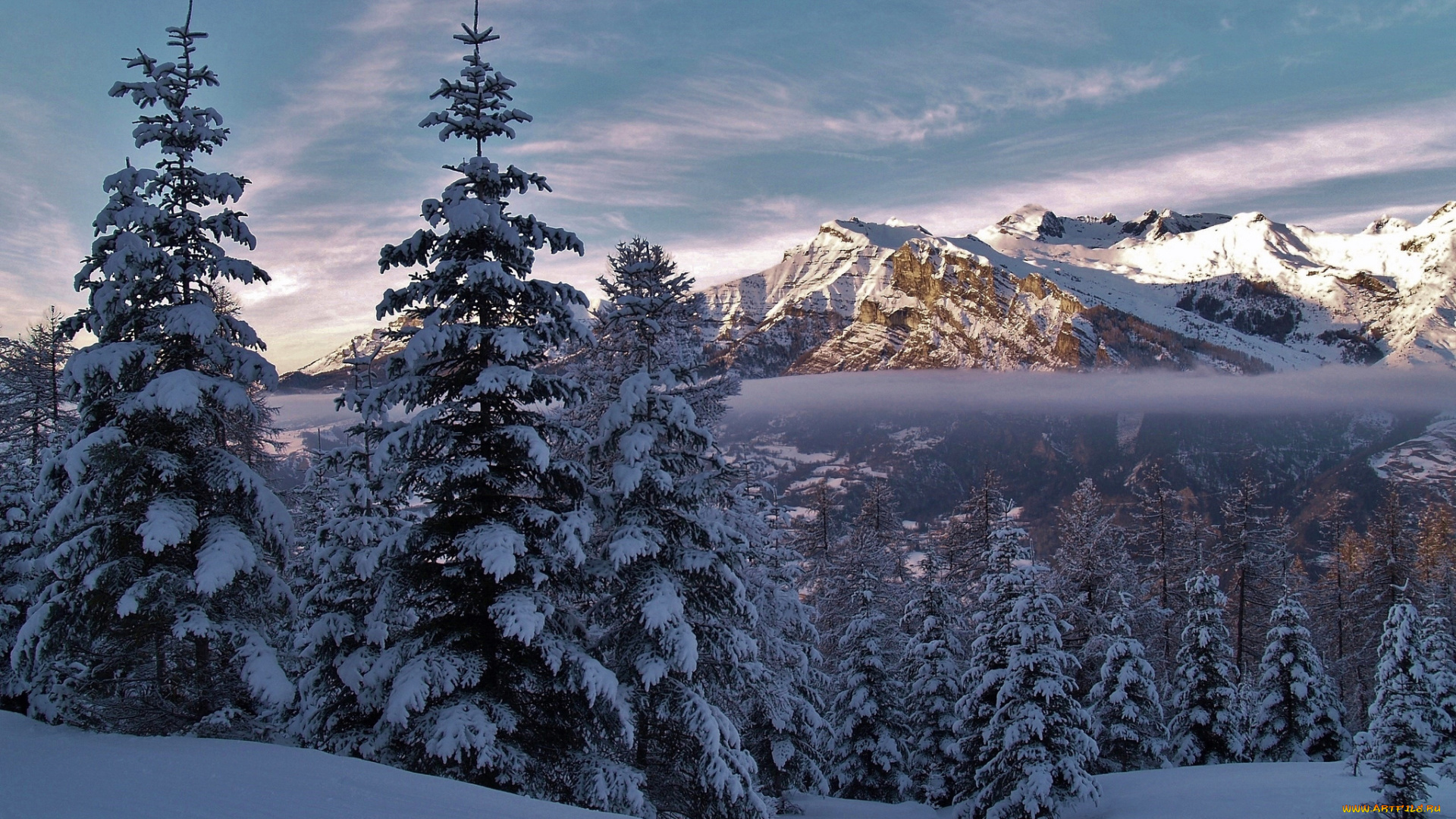 природа, зима, альпы, франция, alps, france, деревья, ели, сен-леже-ле-мелез, горы, снег