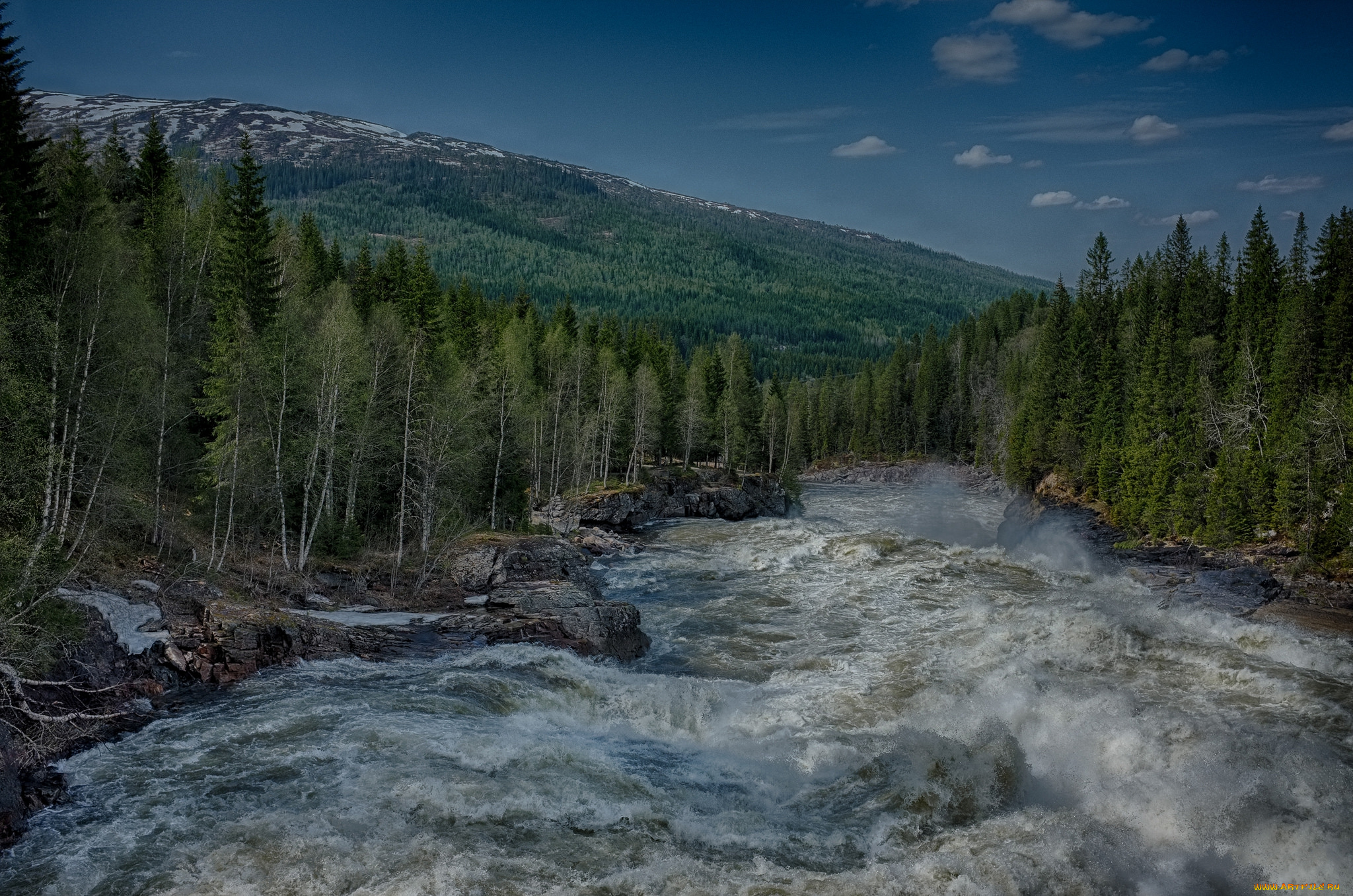 природа, реки, озера, лес, река