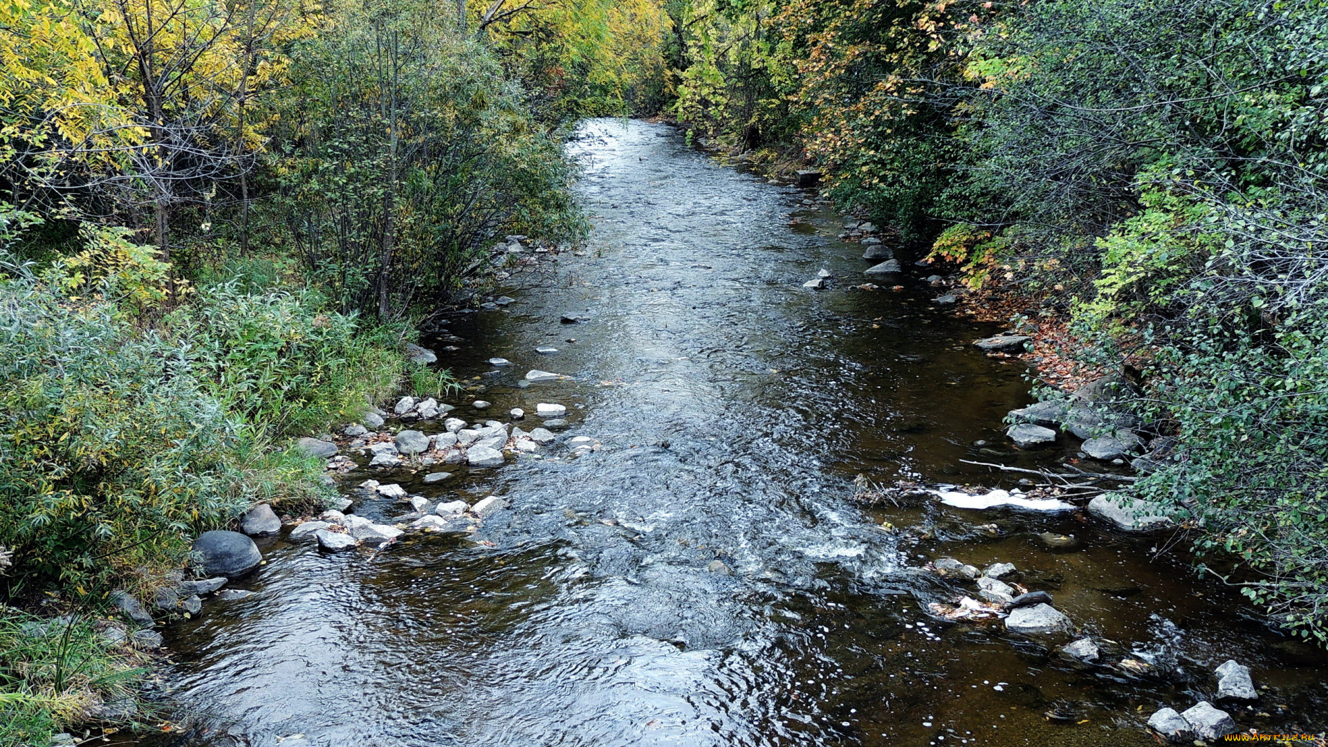 природа, реки, озера, камни, вода