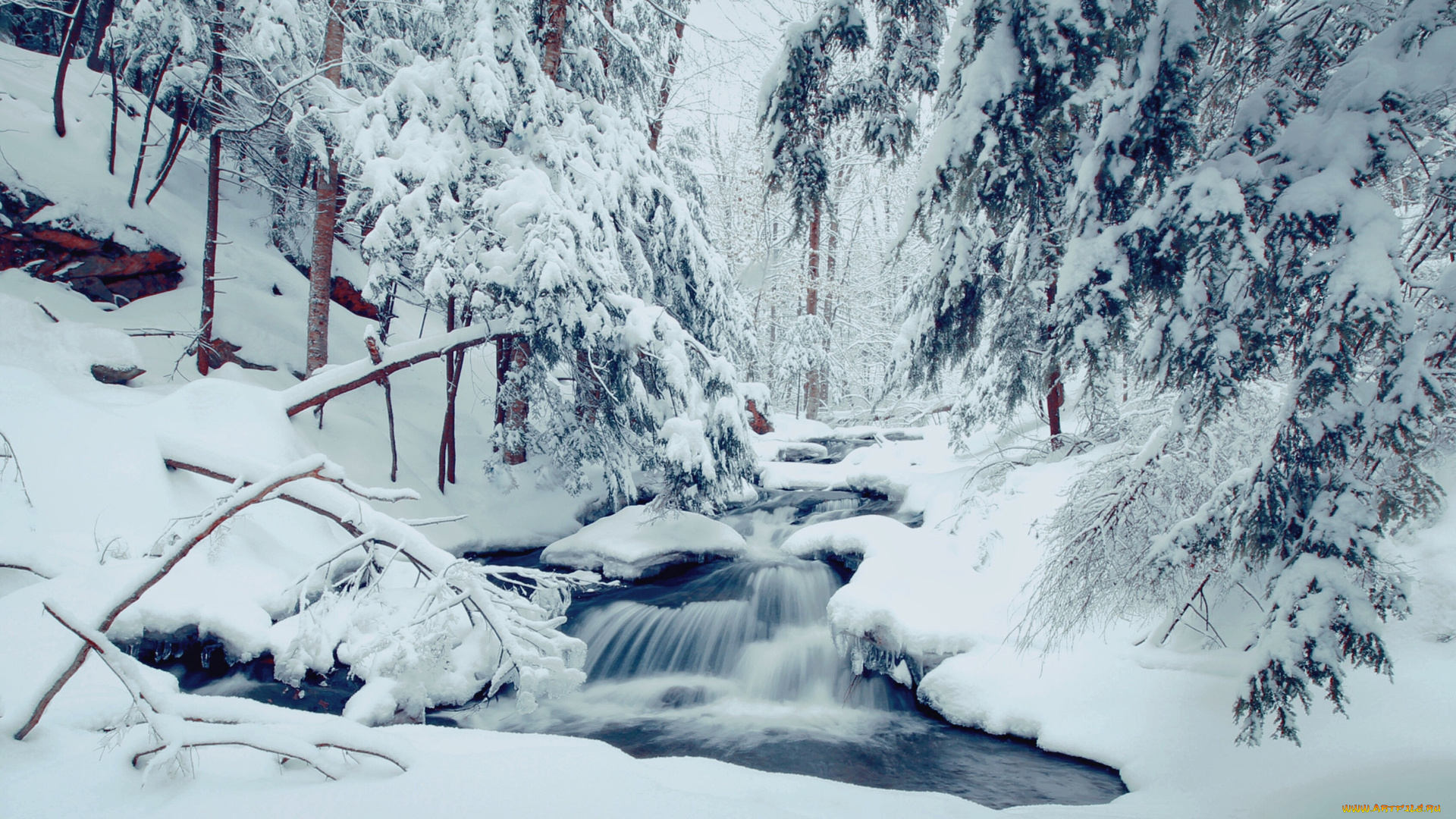 природа, зима, лес, деревья, река, течение, пейзаж, снег