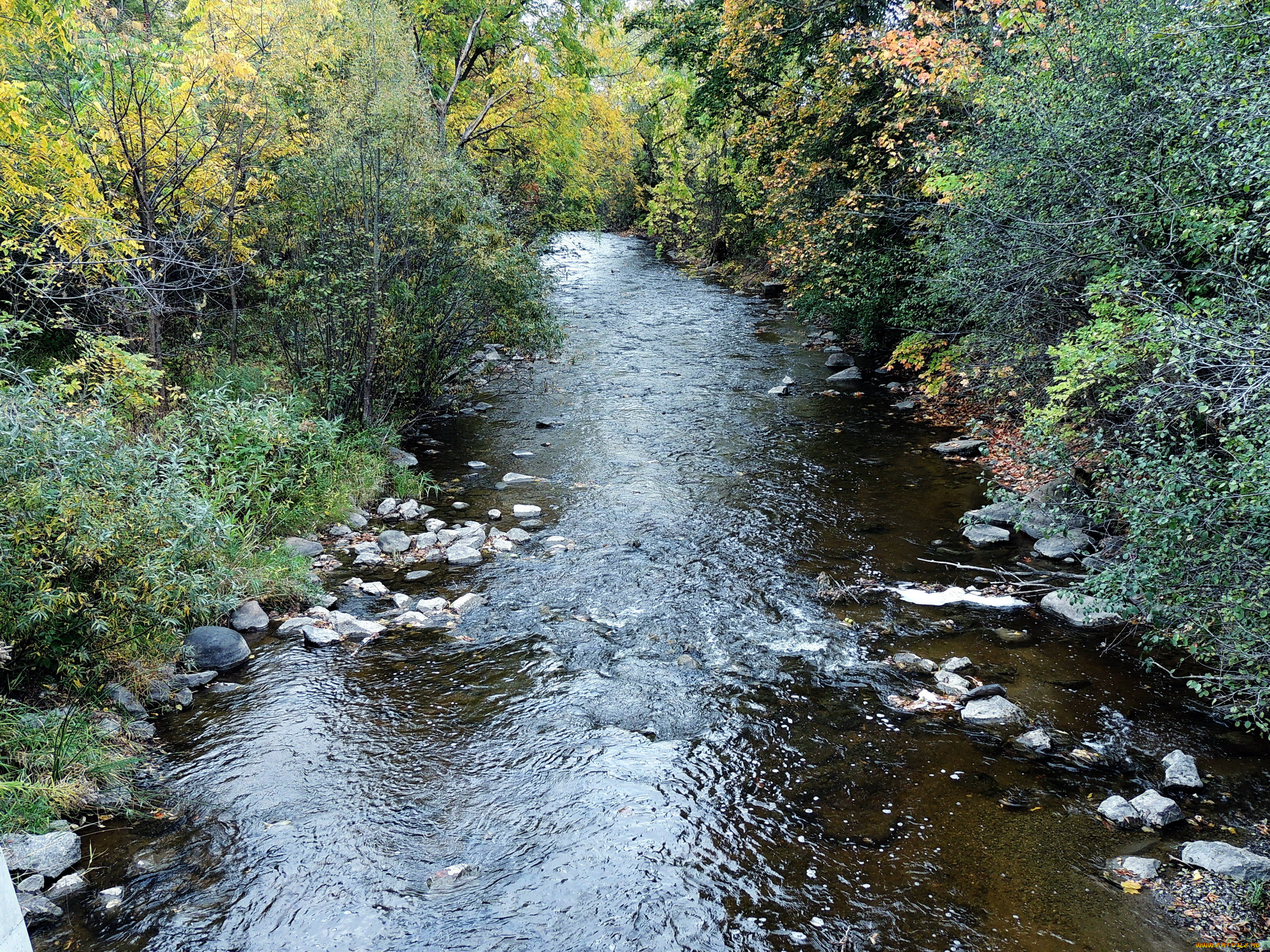 природа, реки, озера, камни, вода