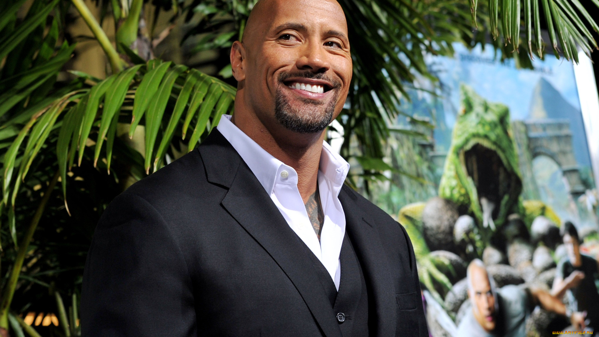 мужчины, dwayne, johnson, , the, rock, актер, костюм, пальма