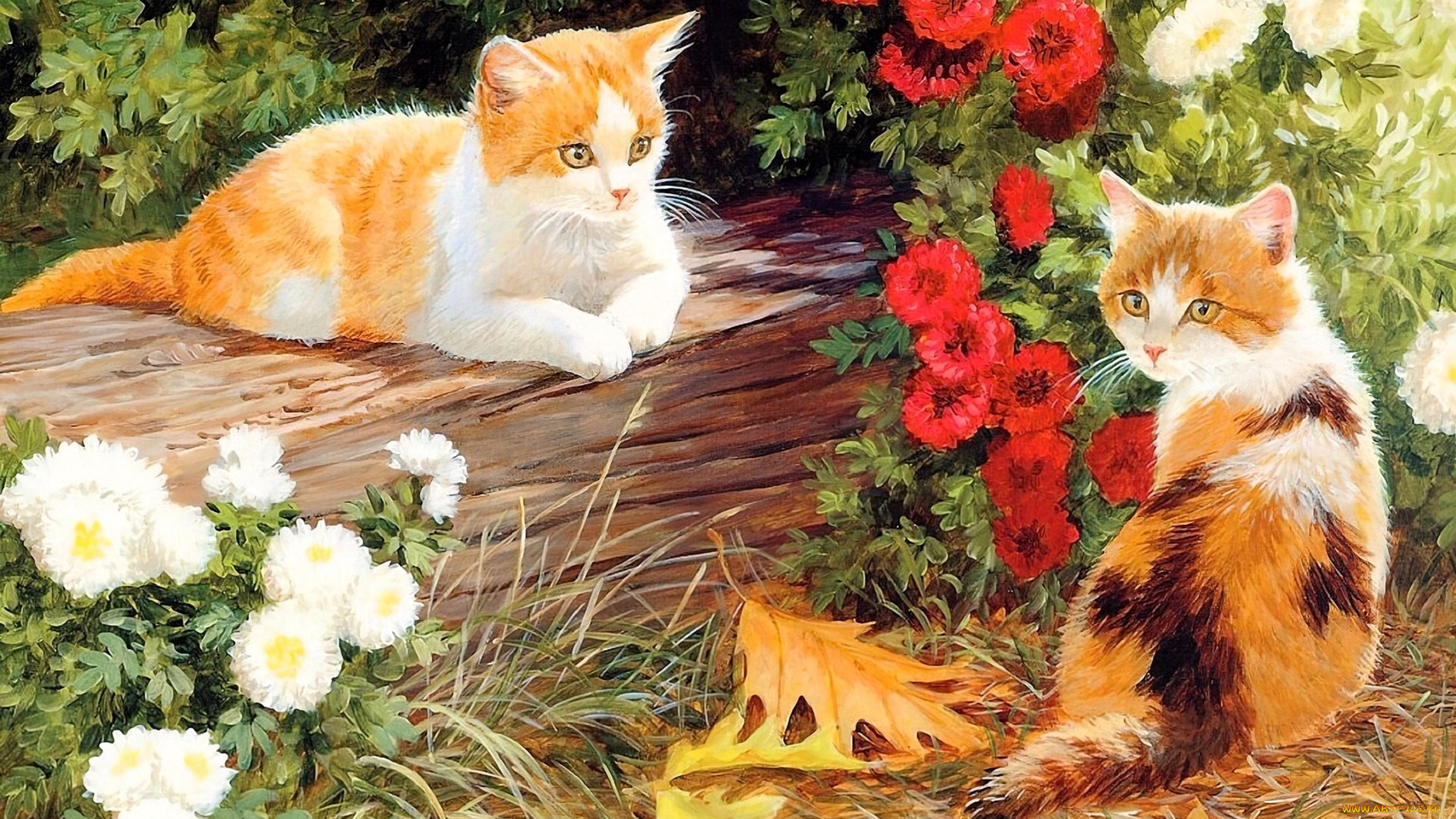 рисованное, животные, , коты, котята, цветы, бревно, листья