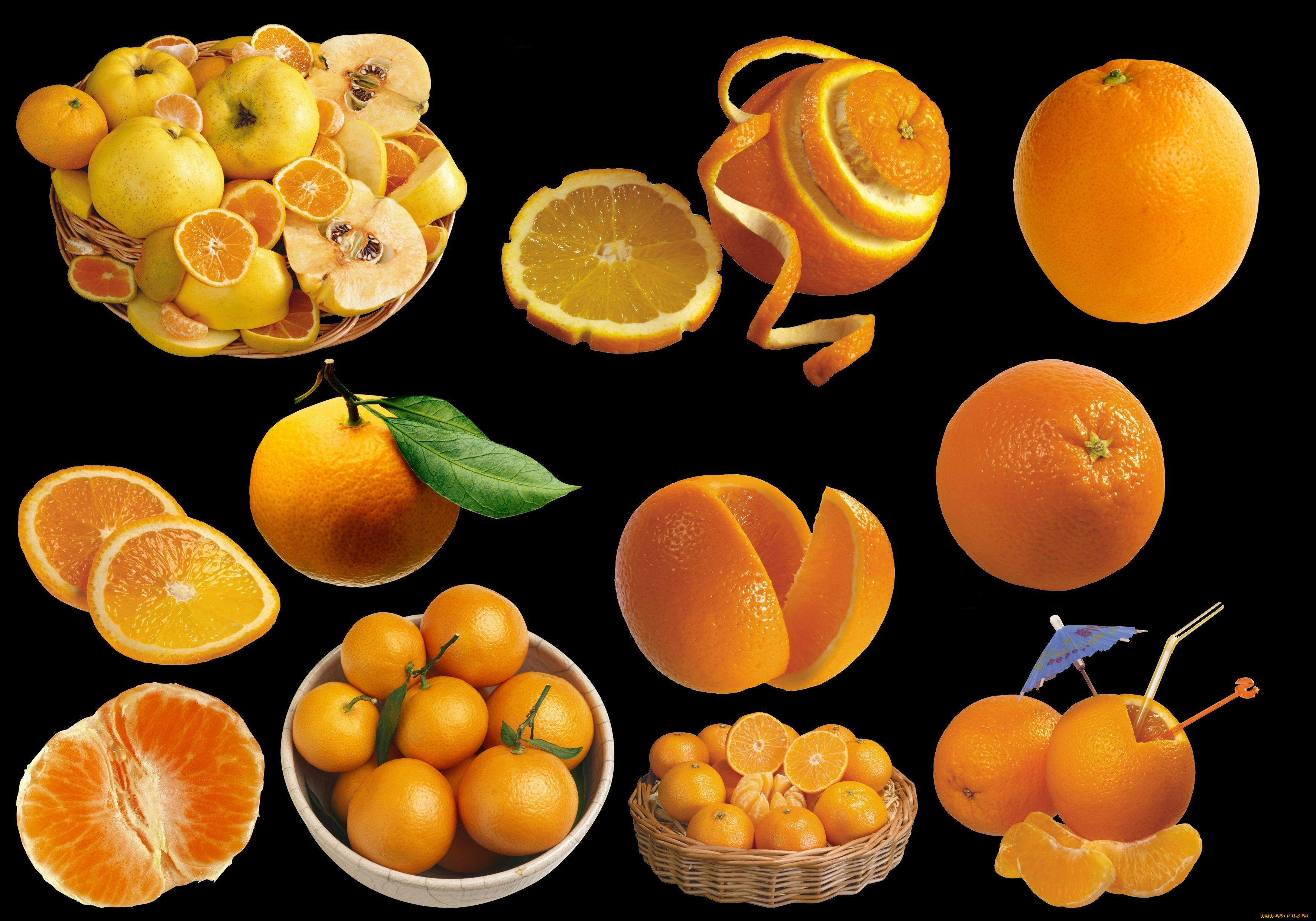 еда, цитрусы, апельсины, цедра