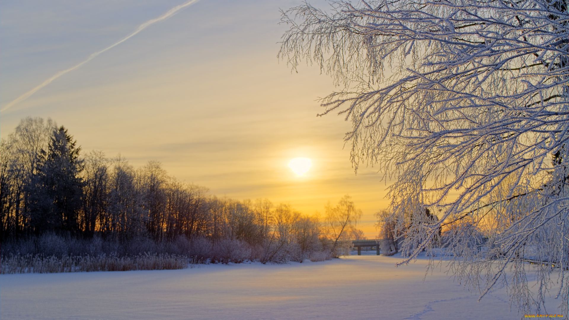 природа, зима, швеция, снег, деревья, утро, солнце, восход