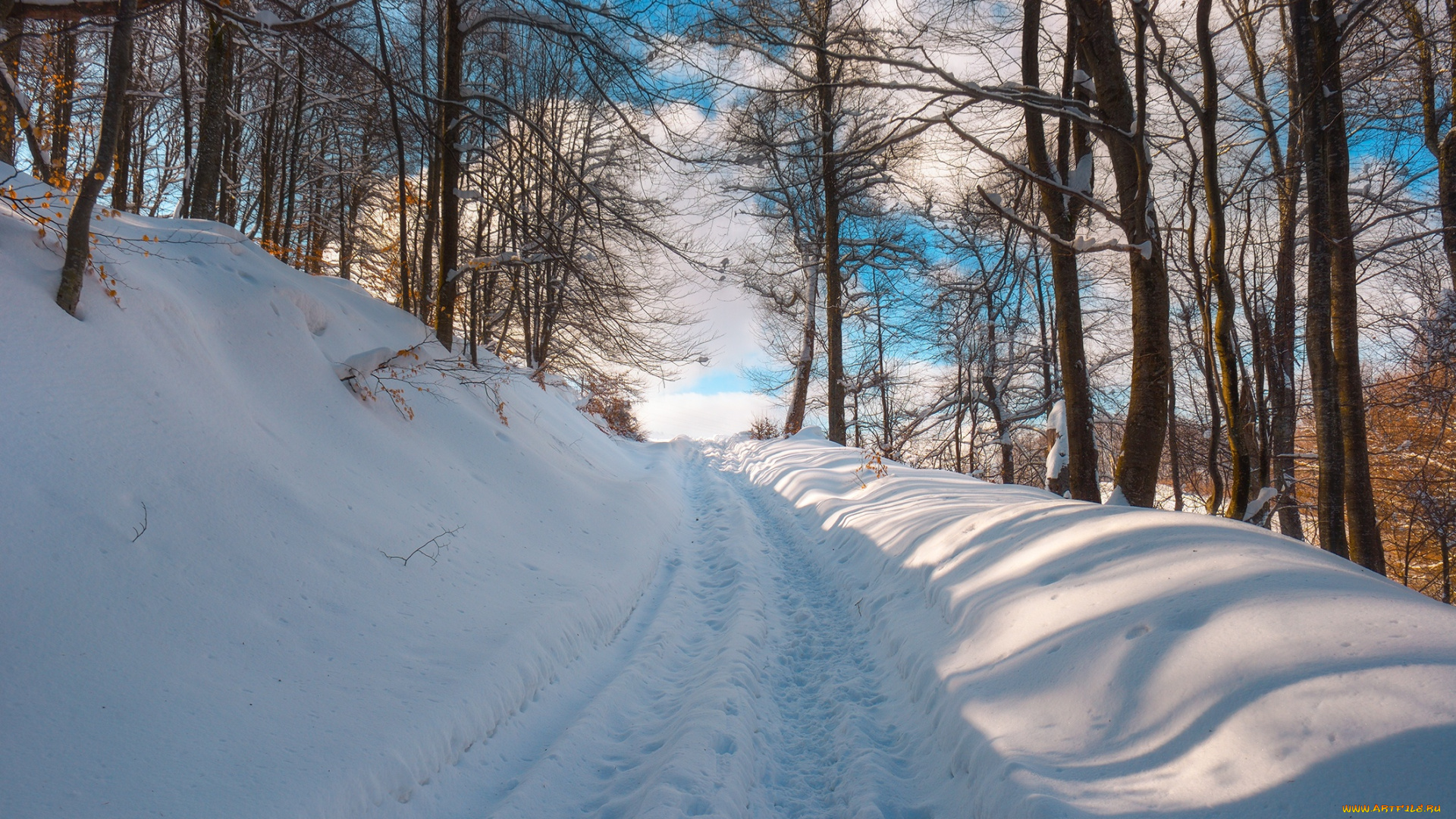 природа, дороги, деревья, снег, зима, дорога