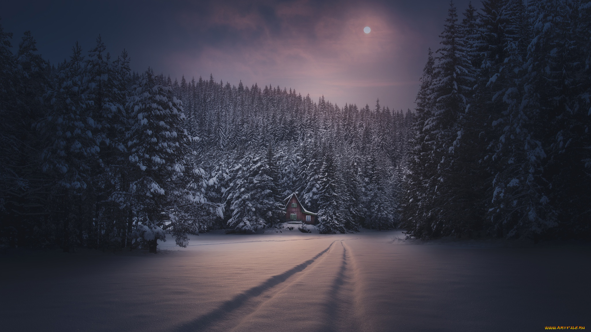 природа, дороги, ночь, снег, зима, луна, домик, лес, следы