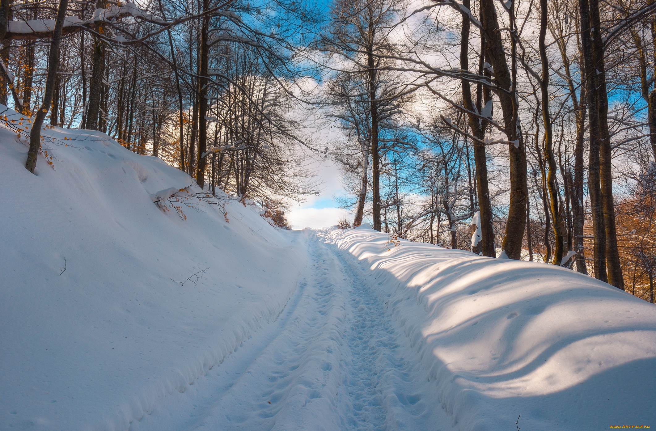 природа, дороги, деревья, снег, зима, дорога