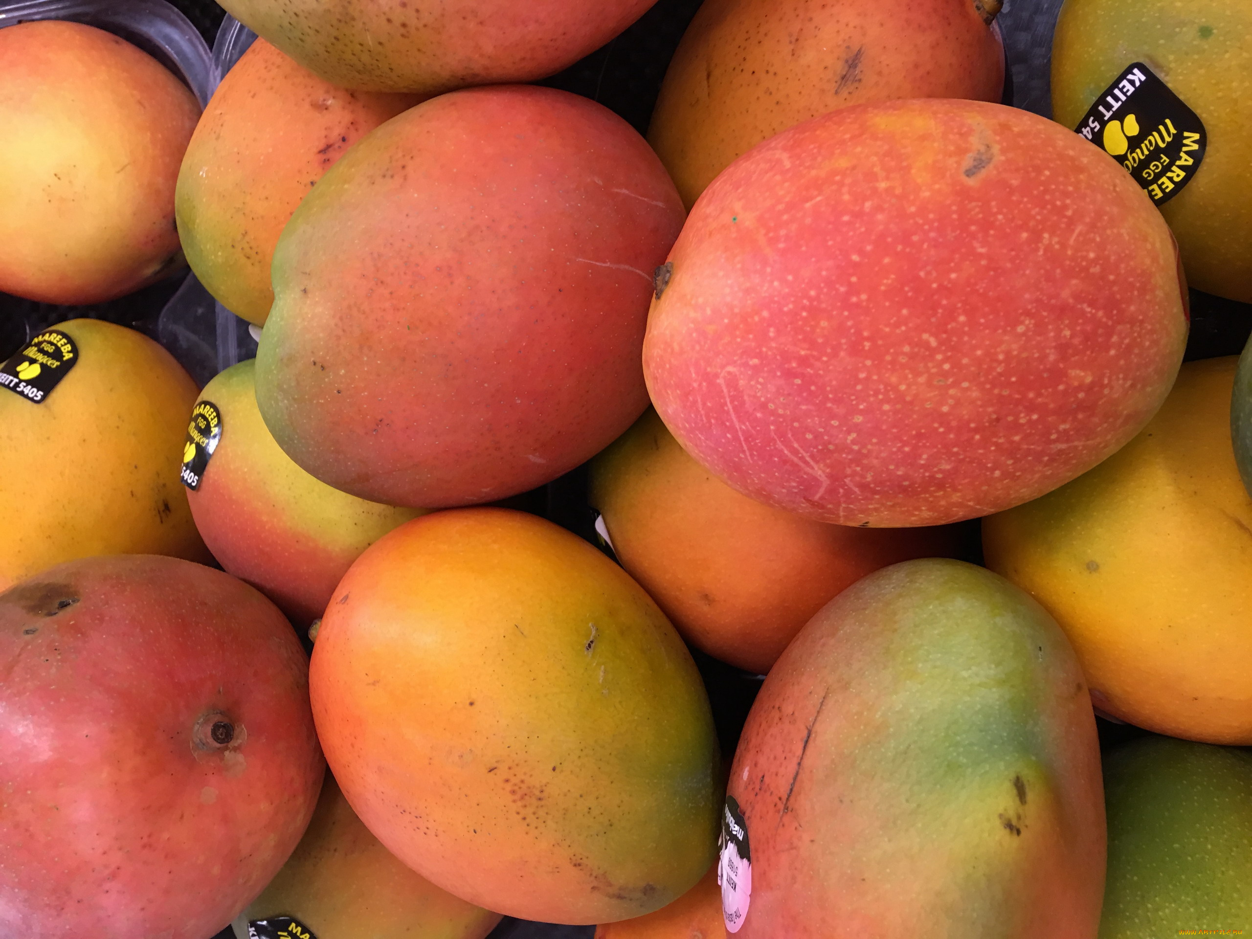 еда, манго, плоды