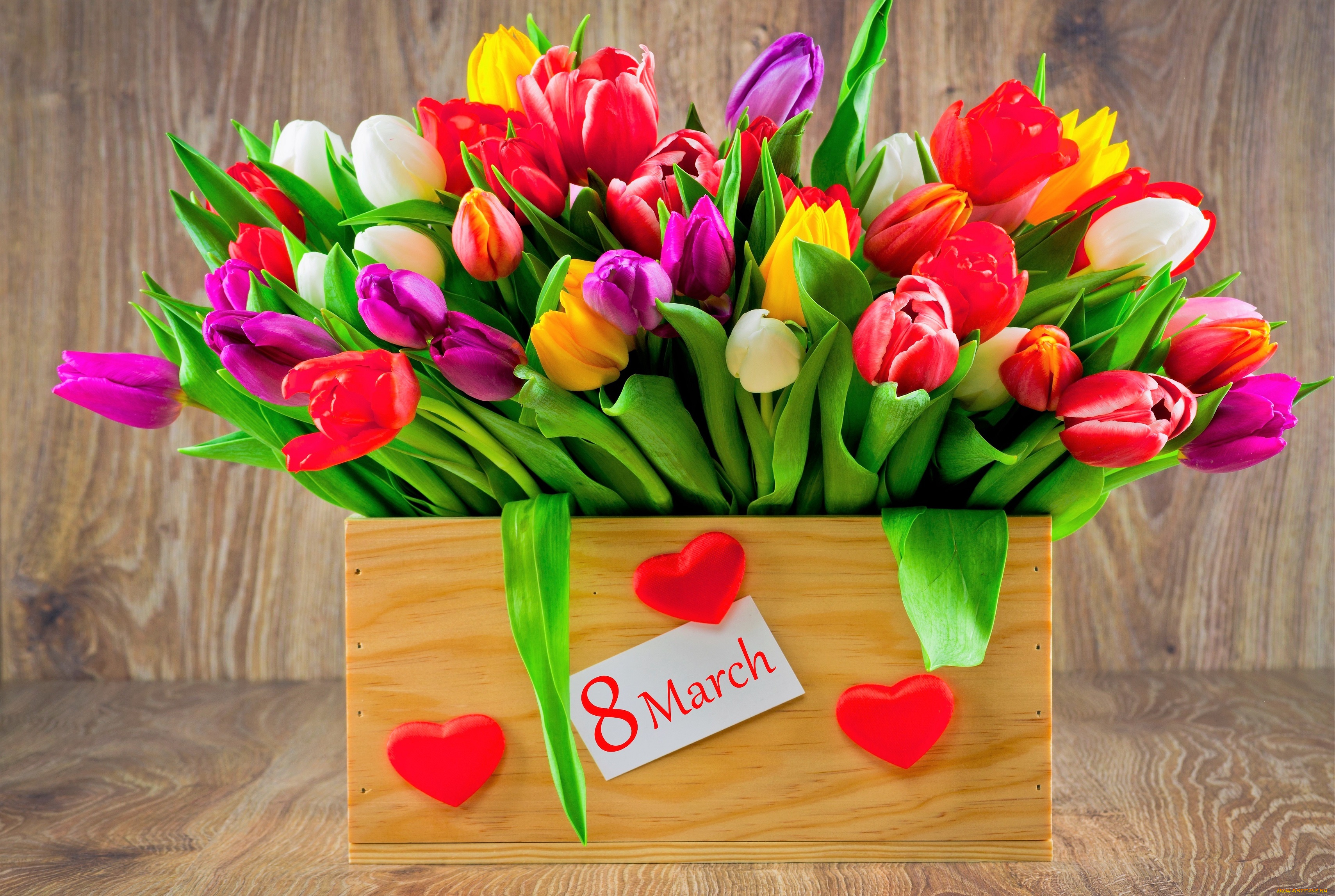 праздничные, международный, женский, день, -, 8, марта, тюльпаны, ящик