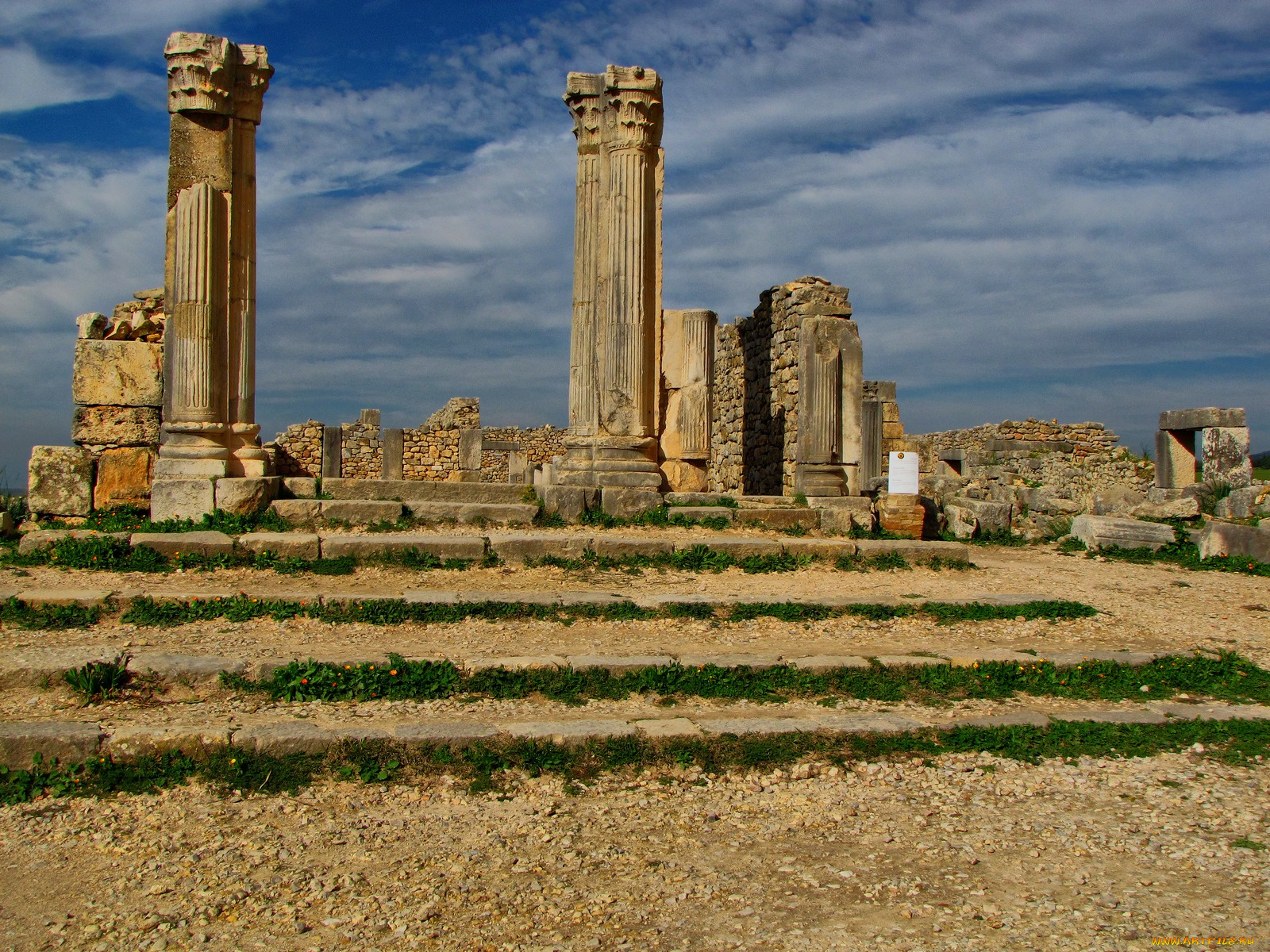 columns, volubilis, roman, ruins, morocco, africa, города, исторические, архитектурные, памятники