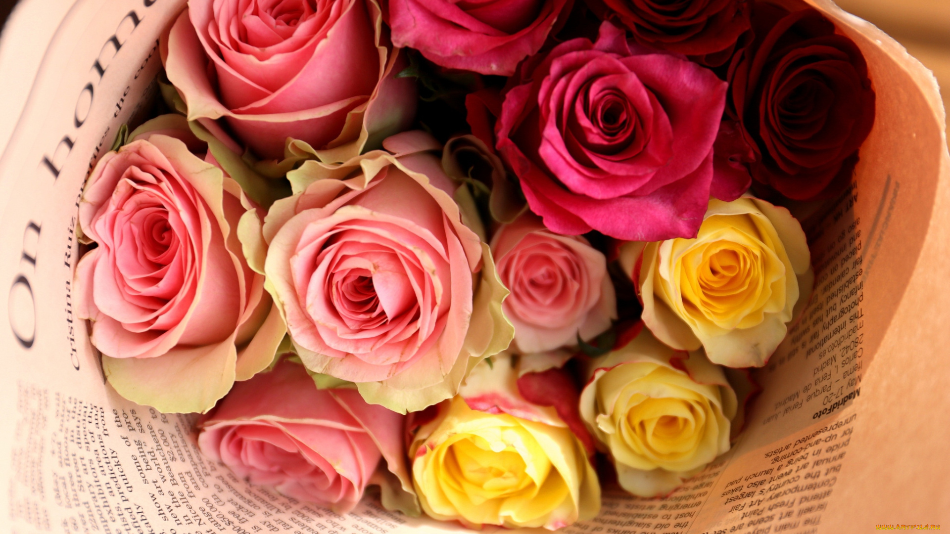 цветы, розы, газета, букет