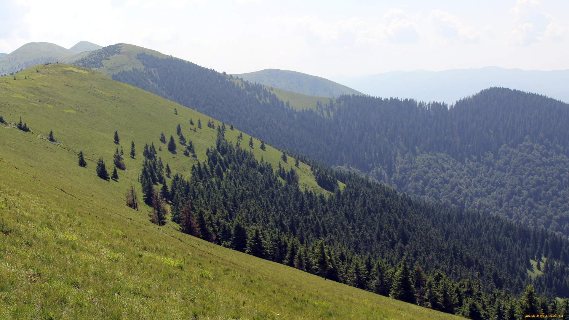 украина, закарпатье, негровець, природа, горы