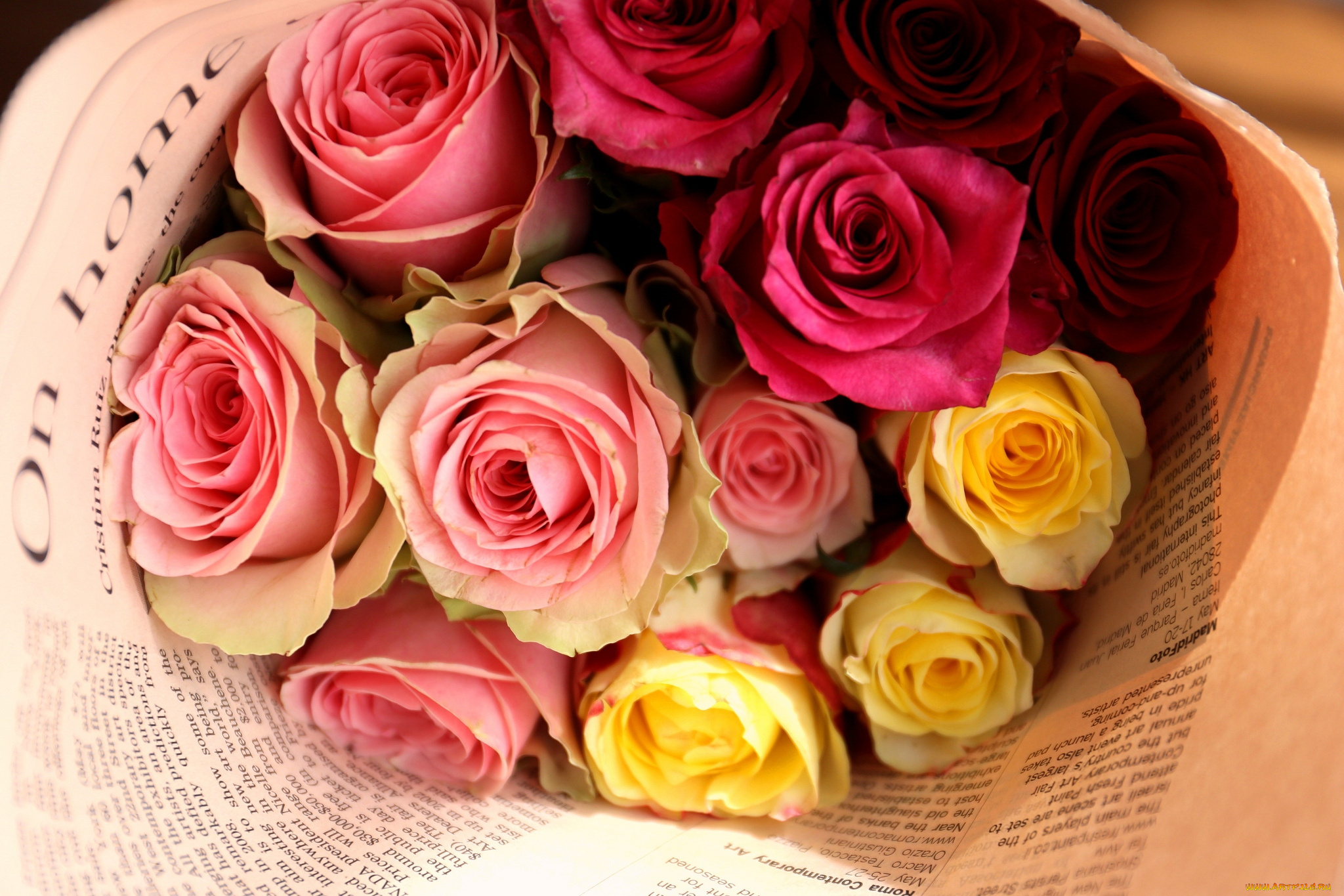 цветы, розы, газета, букет