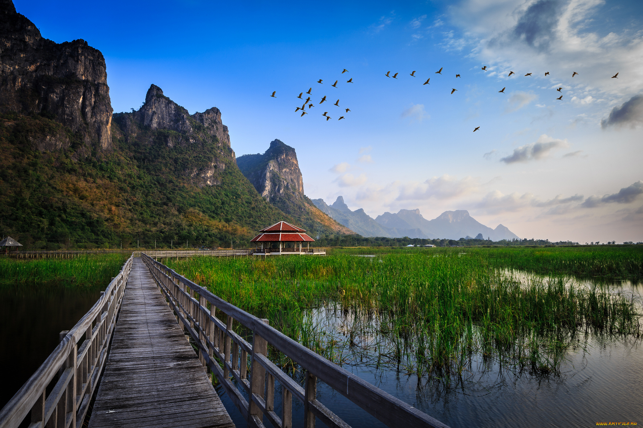 природа, пейзажи, thailand, хижина, постройка, горы, птицы, трава, озеро, вода, мост, national, park