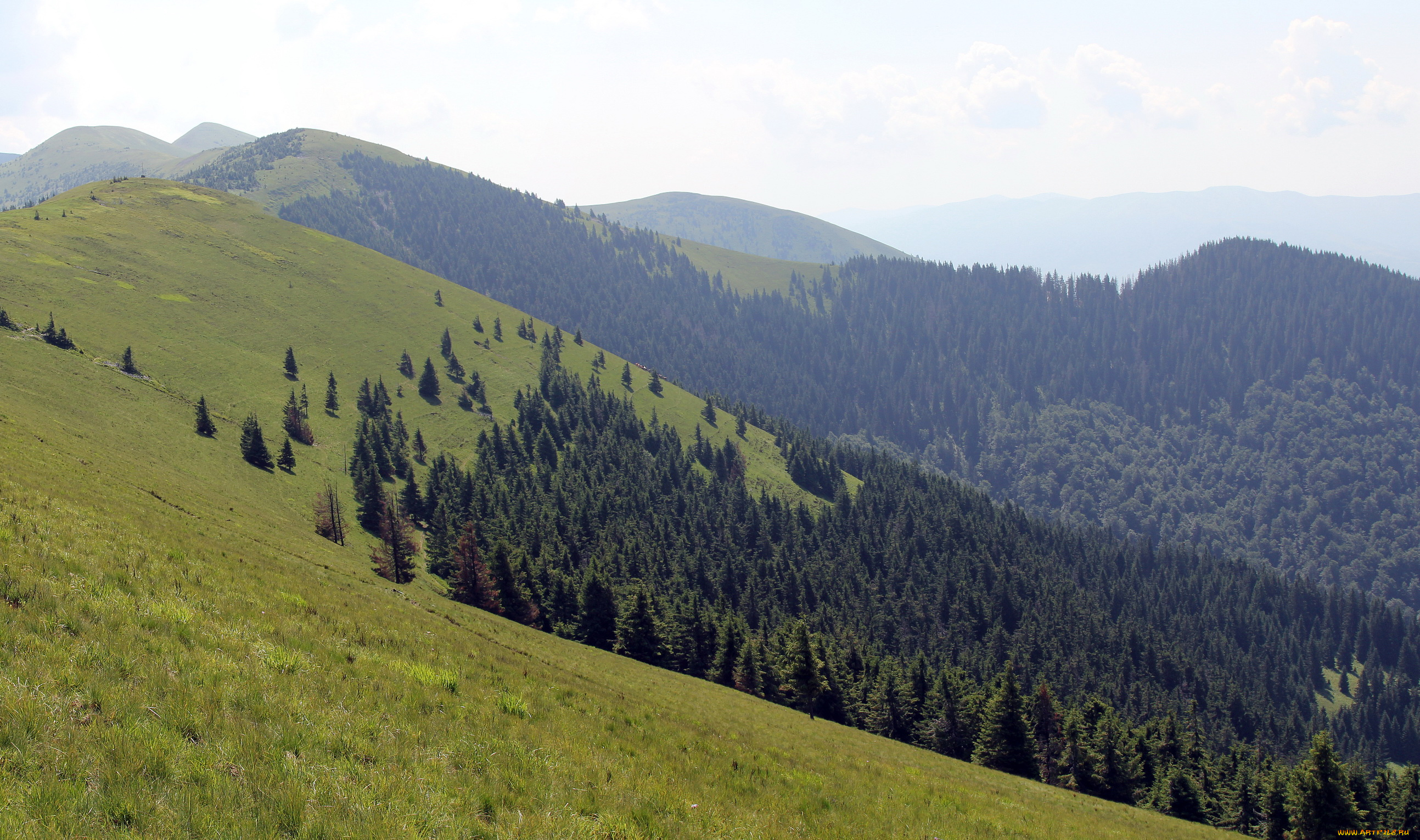 украина, закарпатье, негровець, природа, горы