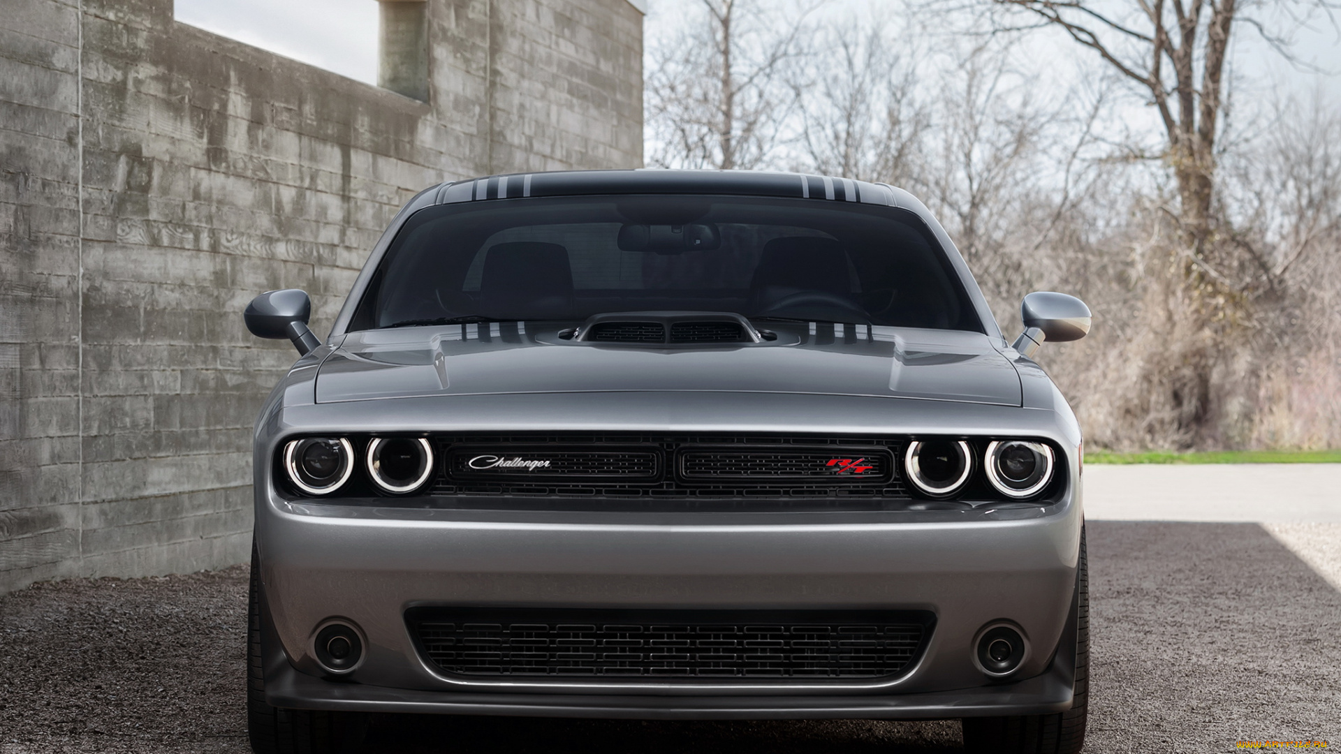 автомобили, dodge, 392, 2015г, lc, темный, challenger, hemi, scat, pack, shaker