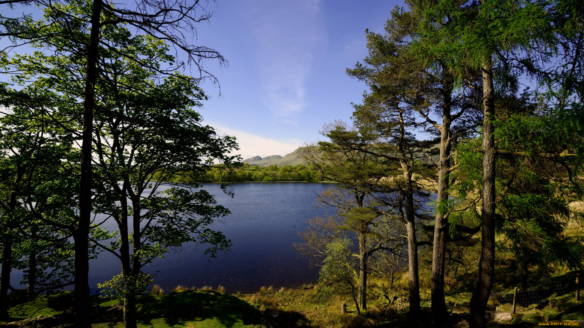 природа, реки, озера, озеро, шотландия, glasgow, деревья