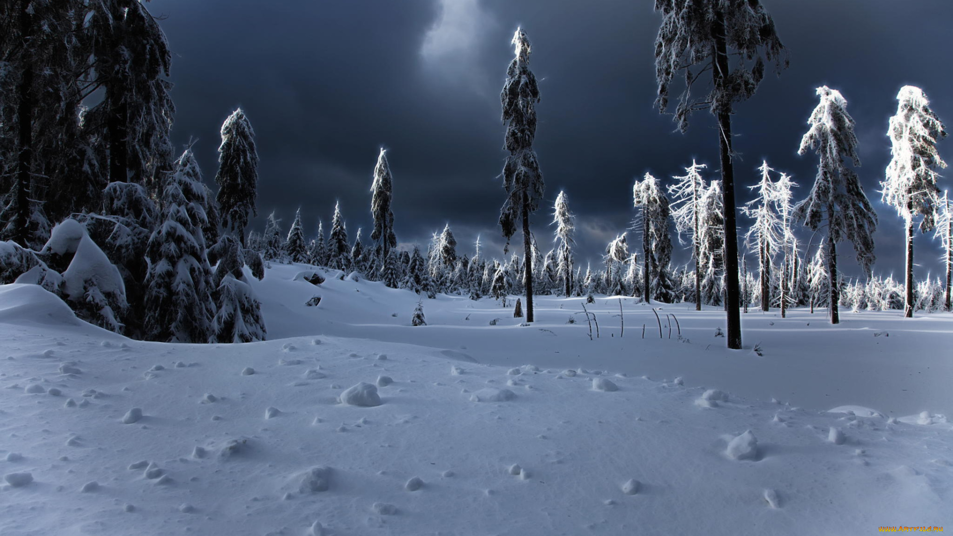 природа, зима, ёлки, winter, снег, сугробы