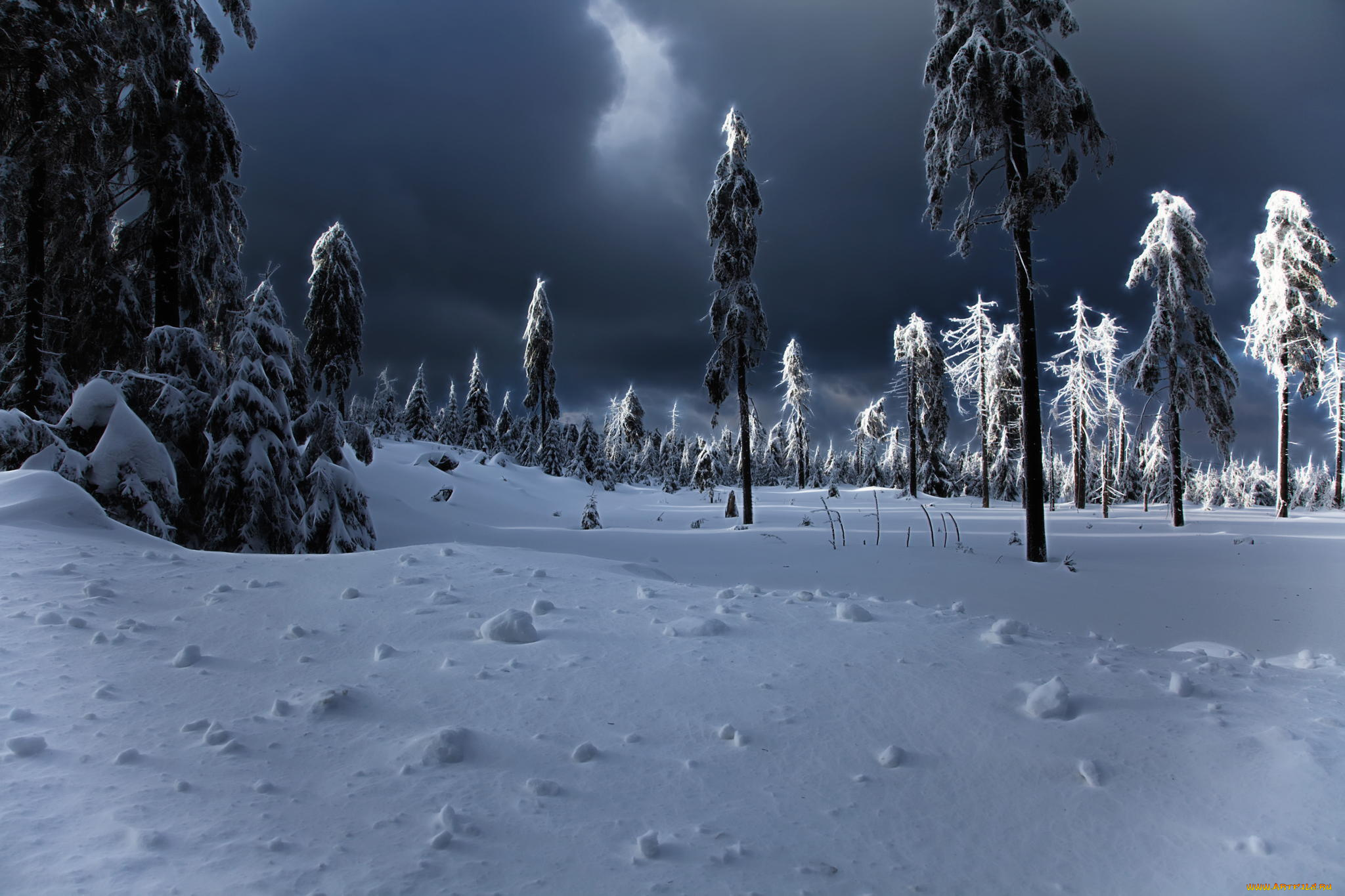 природа, зима, ёлки, winter, снег, сугробы