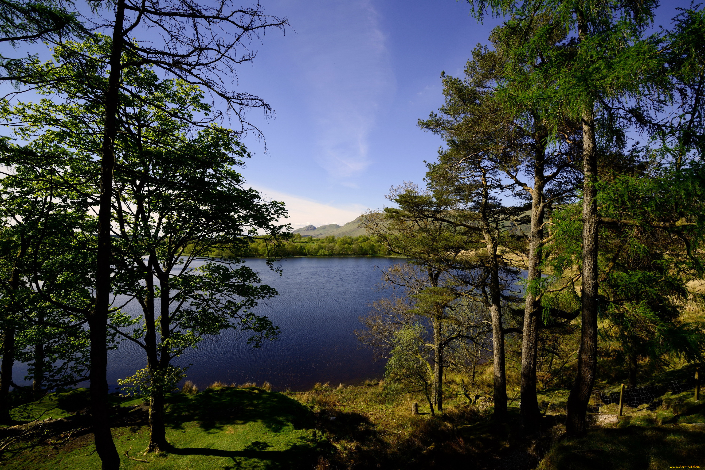 природа, реки, озера, озеро, шотландия, glasgow, деревья