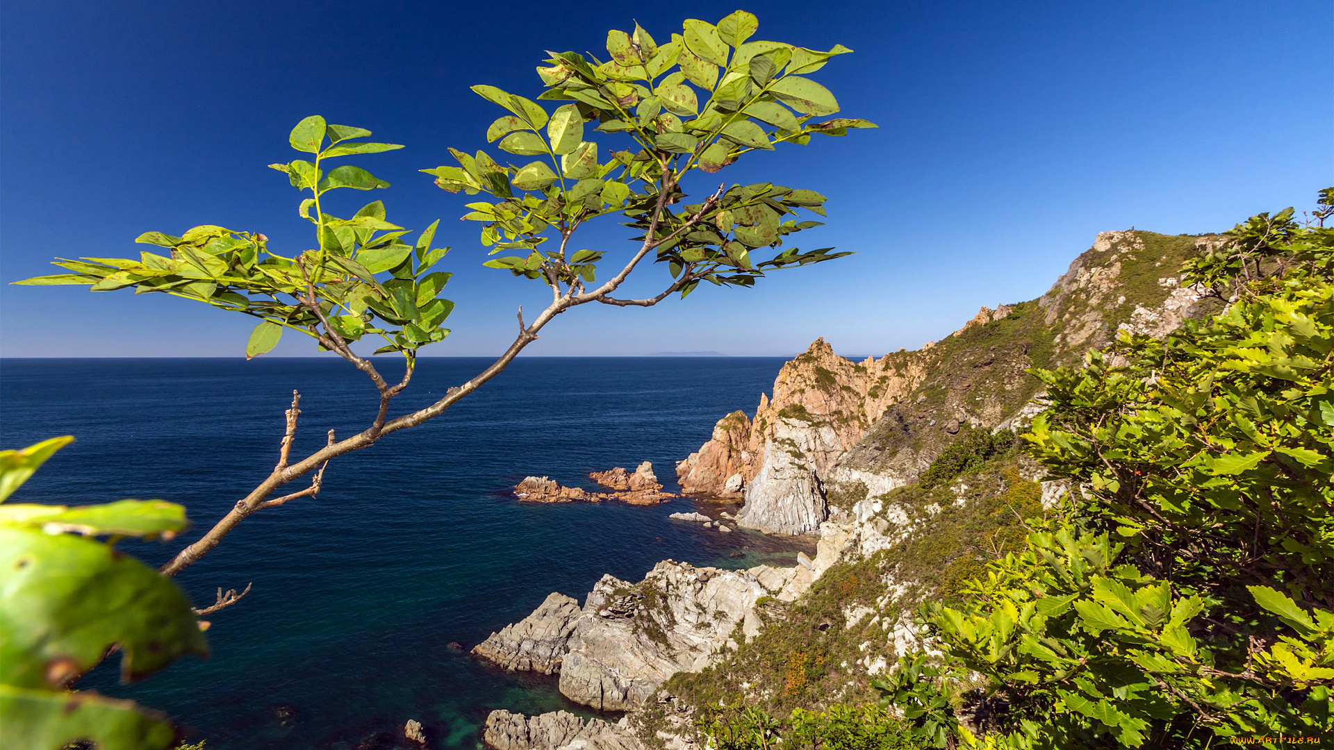 природа, побережье, красота, родной