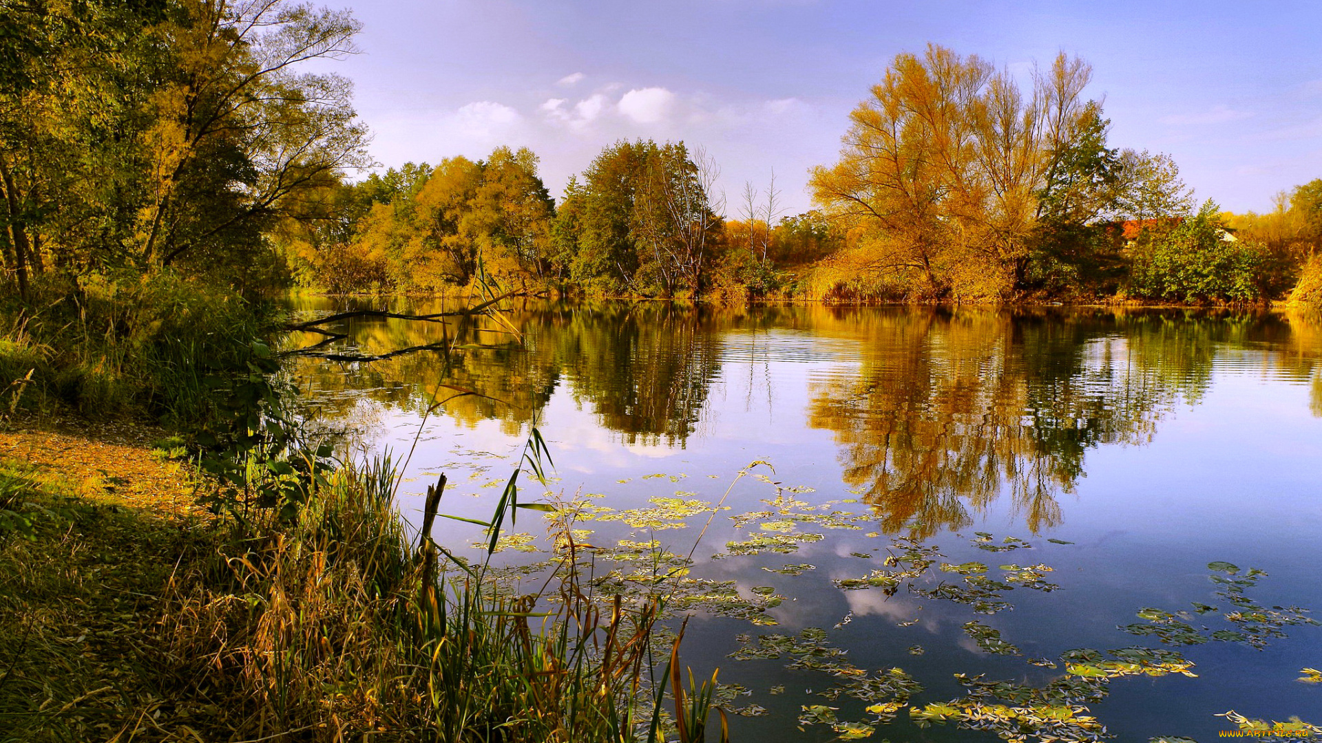 природа, реки, озера, озеро, осень, тишина, отражение