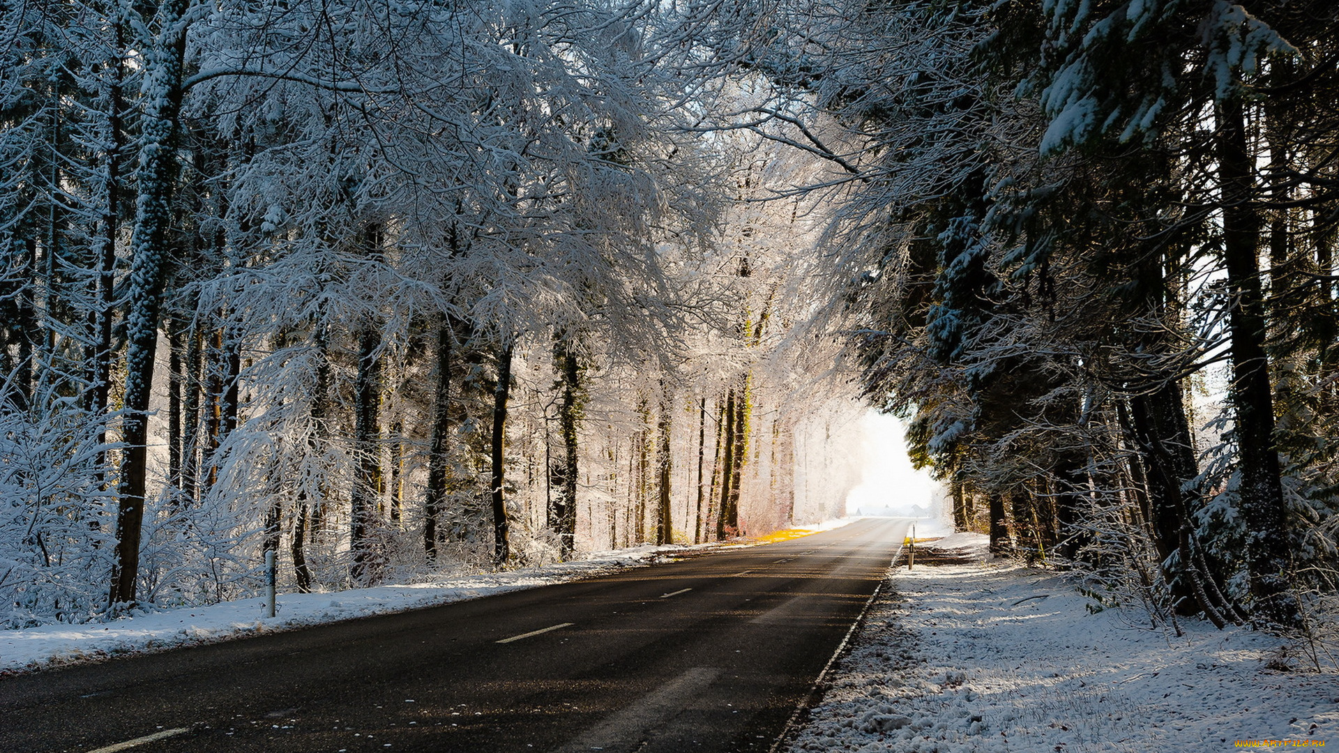 природа, дороги, зима, дорога, деревья