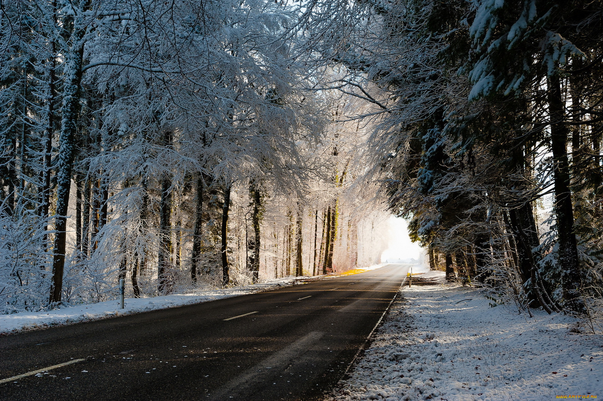 природа, дороги, зима, дорога, деревья