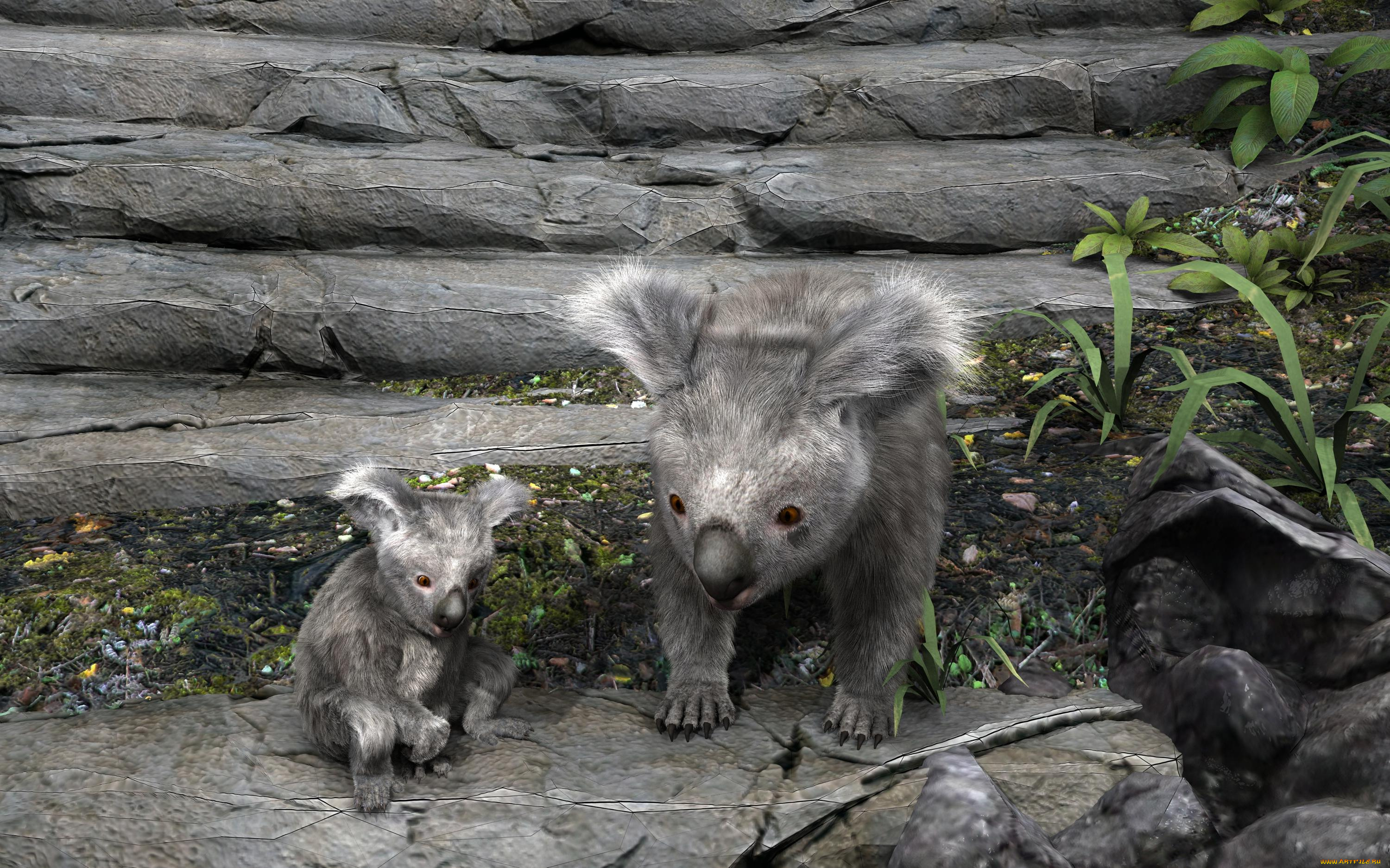 3д, графика, животные, , animals, коалы