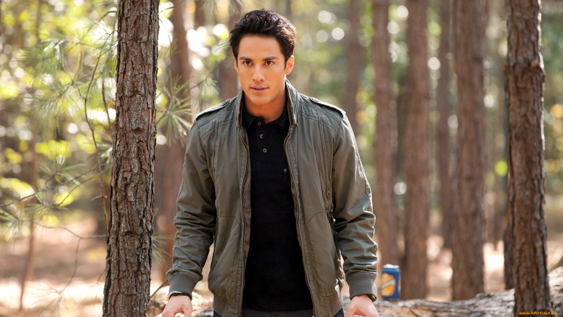 кино, фильмы, the, vampire, diaries, michael, trevino