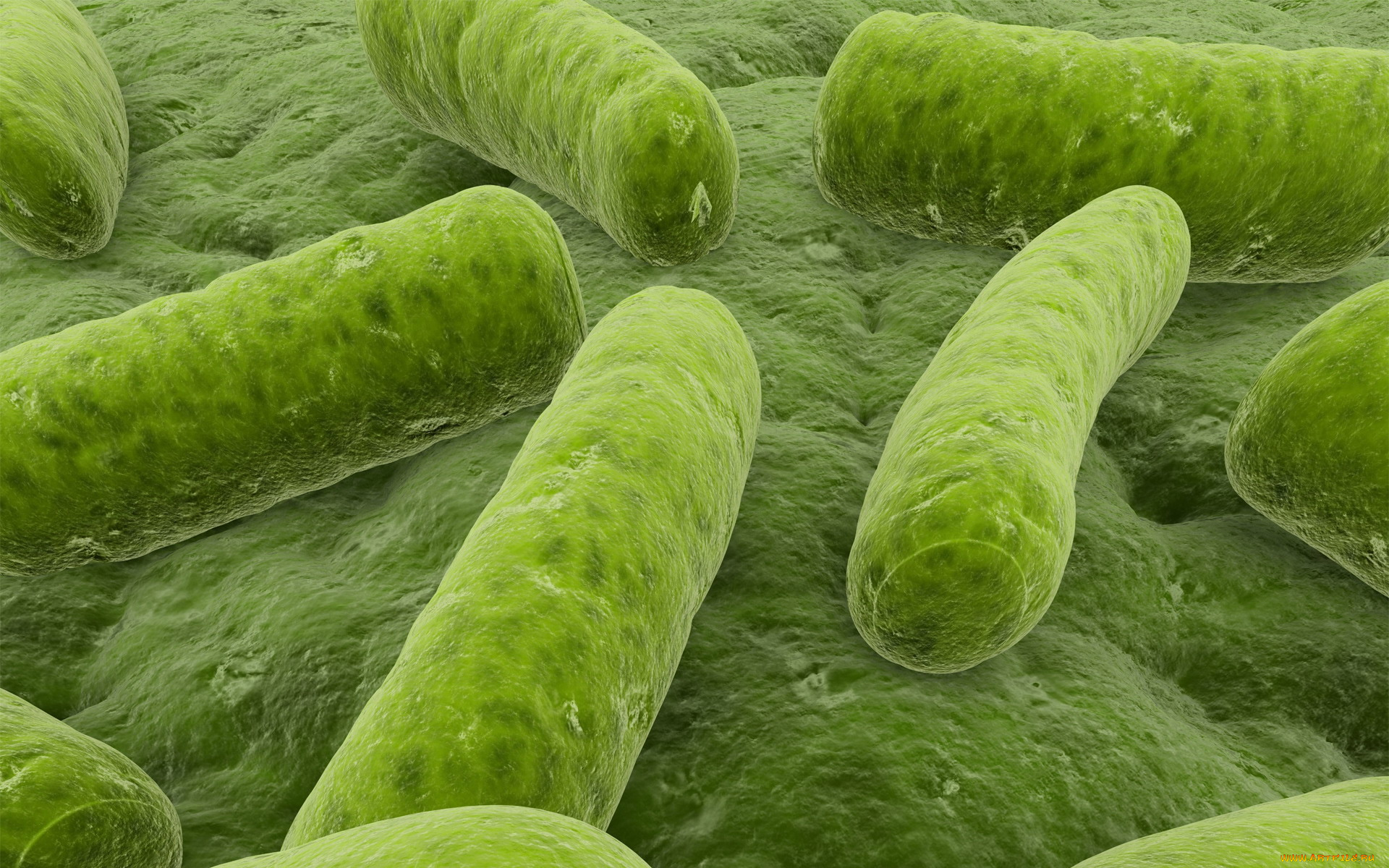 3д, графика, другое, зеленые, микробы