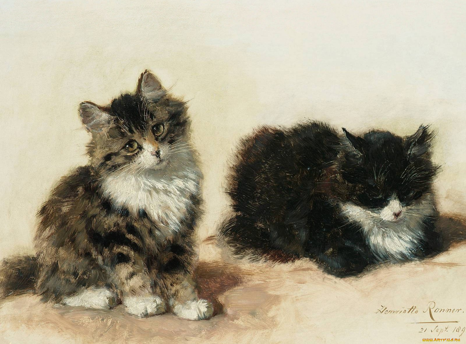 рисованные, henriette, ronner, knip, ronner-knip