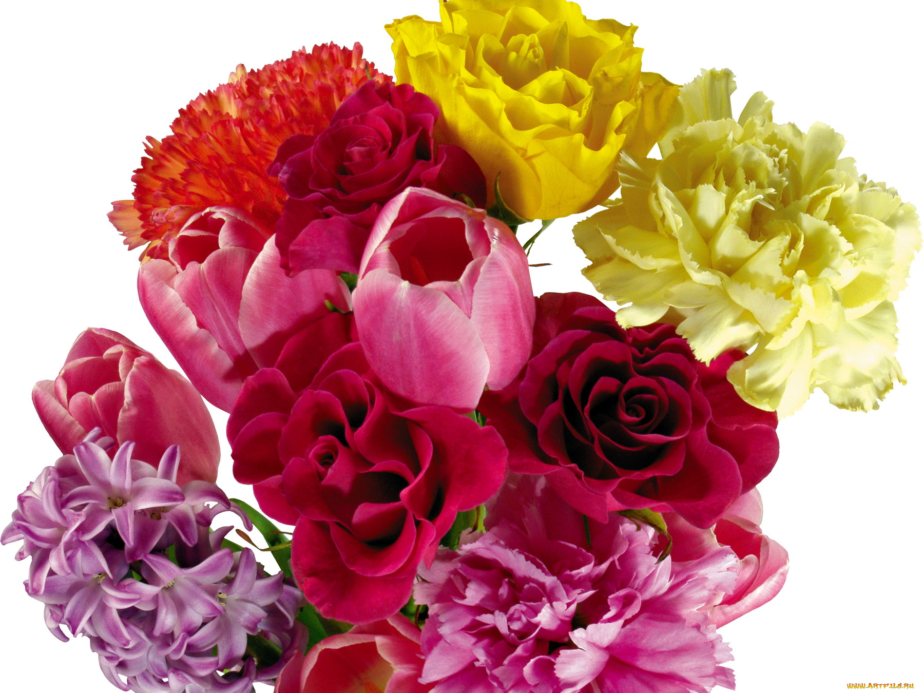 цветы, разные, вместе, букет, тюльпаны, пионы, розы