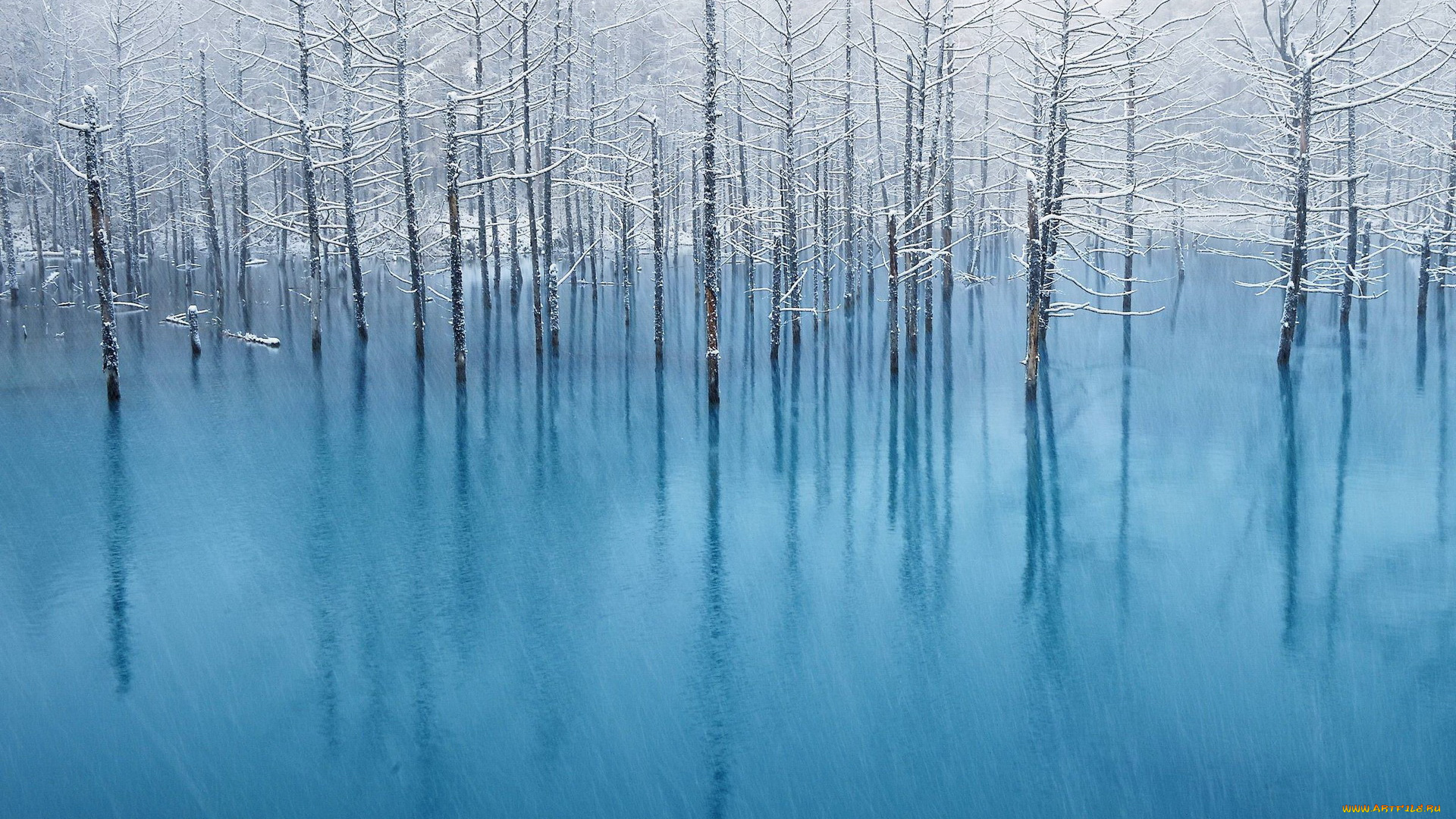 природа, зима, деревья, иней, вода, отражение