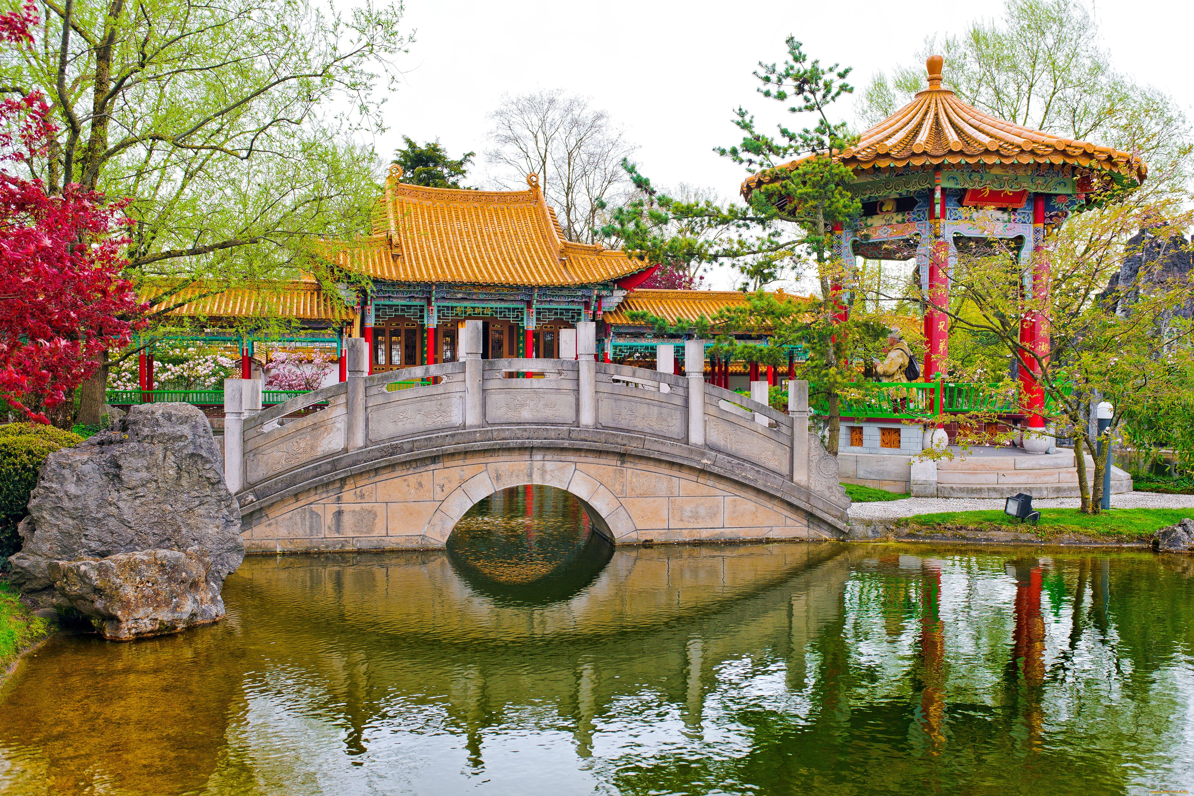 природа, парк, chinese, garden, switzerland, швейцария, пруд, мост, беседка